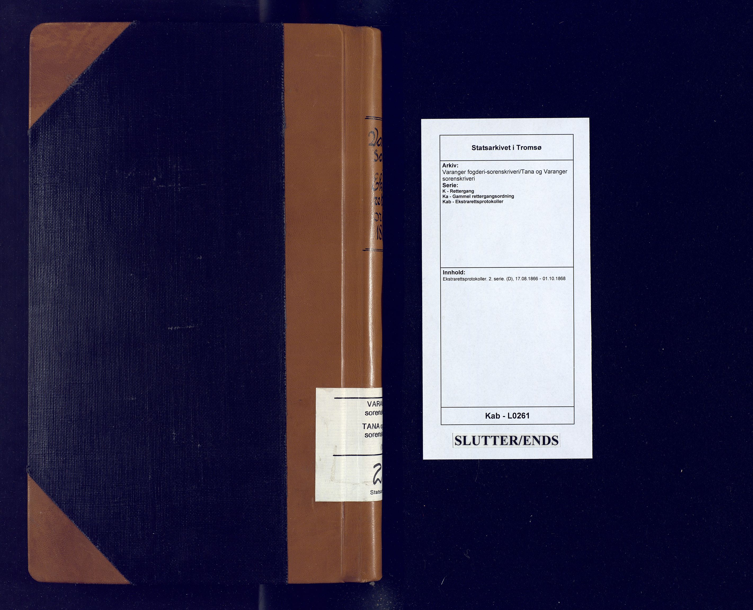 Varanger fogderi-sorenskriveri/Tana og Varanger sorenskriveri, AV/SATØ-S-0059/1/K/Ka/Kab/L0261: Ekstrarettsprotokoller. 2. serie. (D), 1866-1868