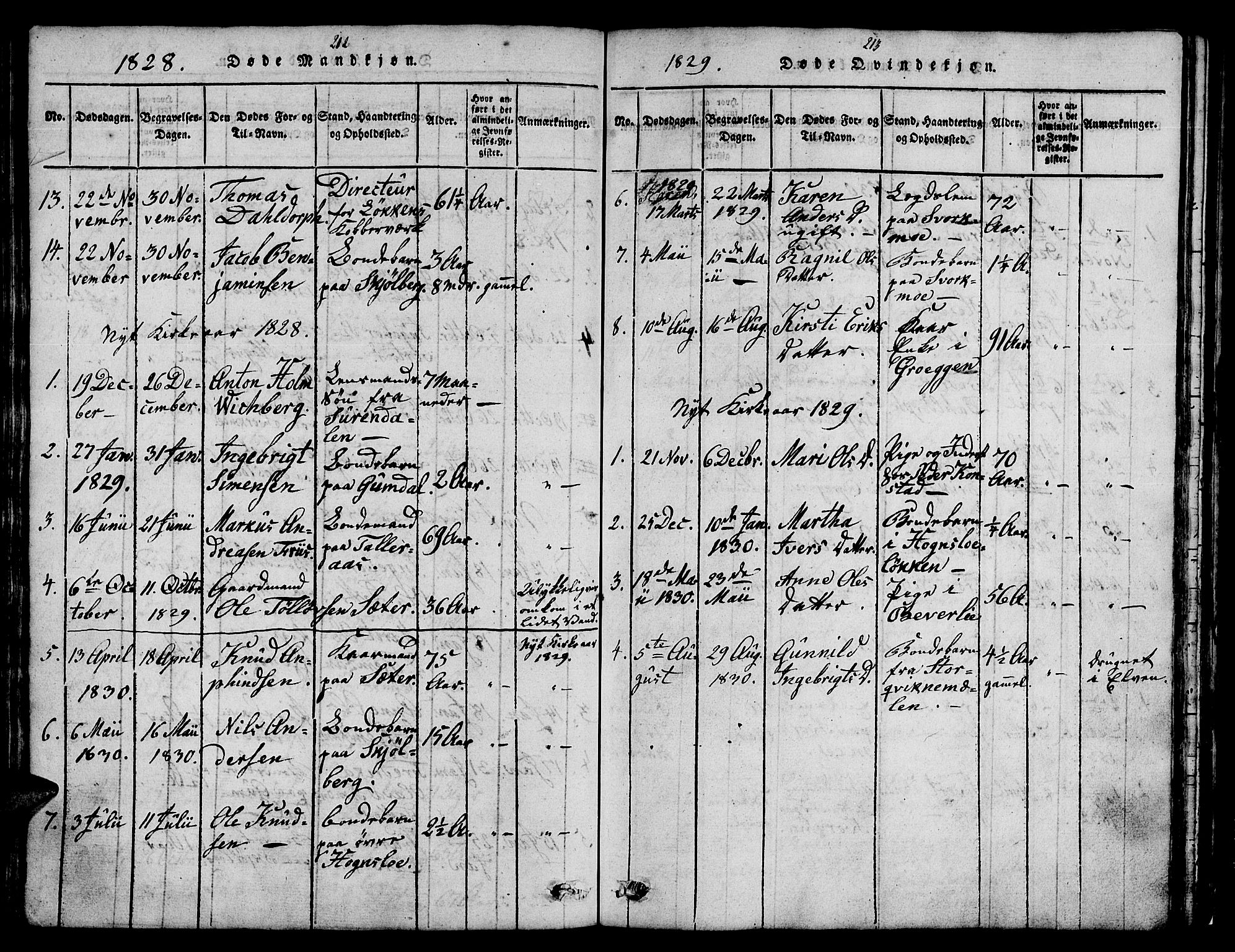 Ministerialprotokoller, klokkerbøker og fødselsregistre - Sør-Trøndelag, SAT/A-1456/671/L0842: Parish register (copy) no. 671C01, 1816-1867, p. 212-213