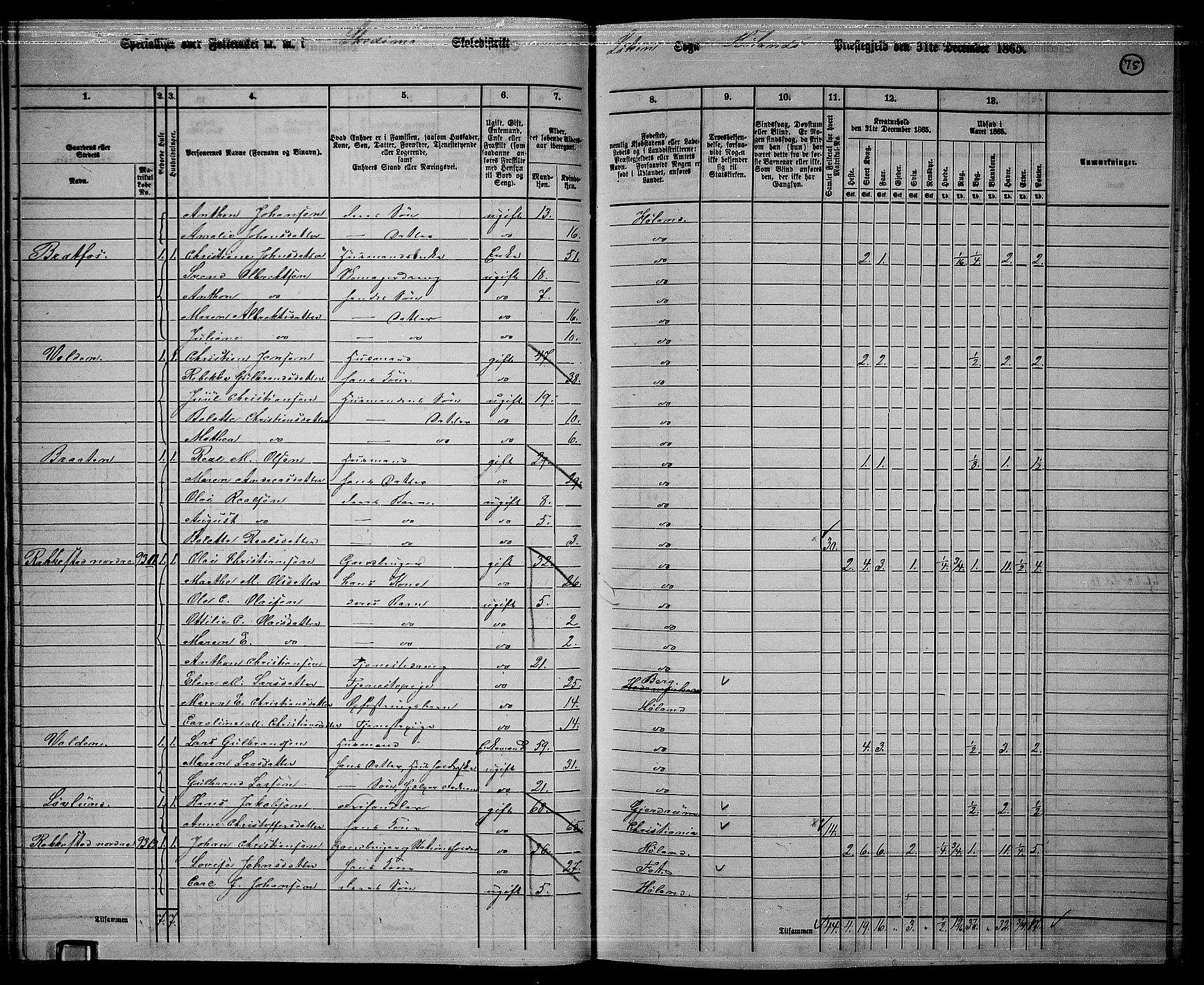 RA, 1865 census for Høland, 1865, p. 73