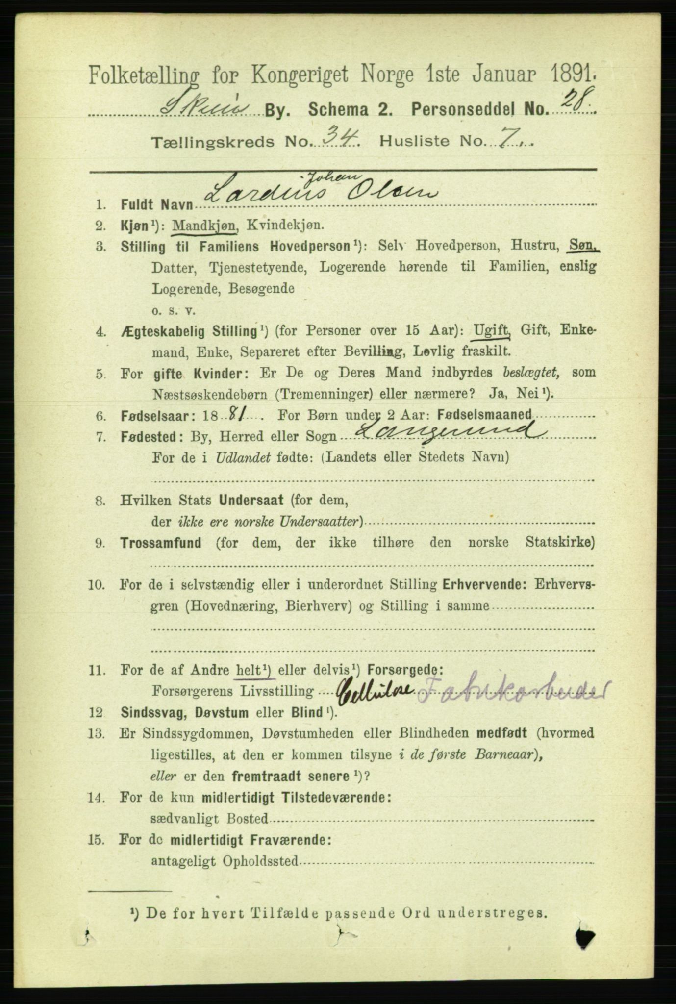 RA, 1891 census for 0806 Skien, 1891, p. 7809