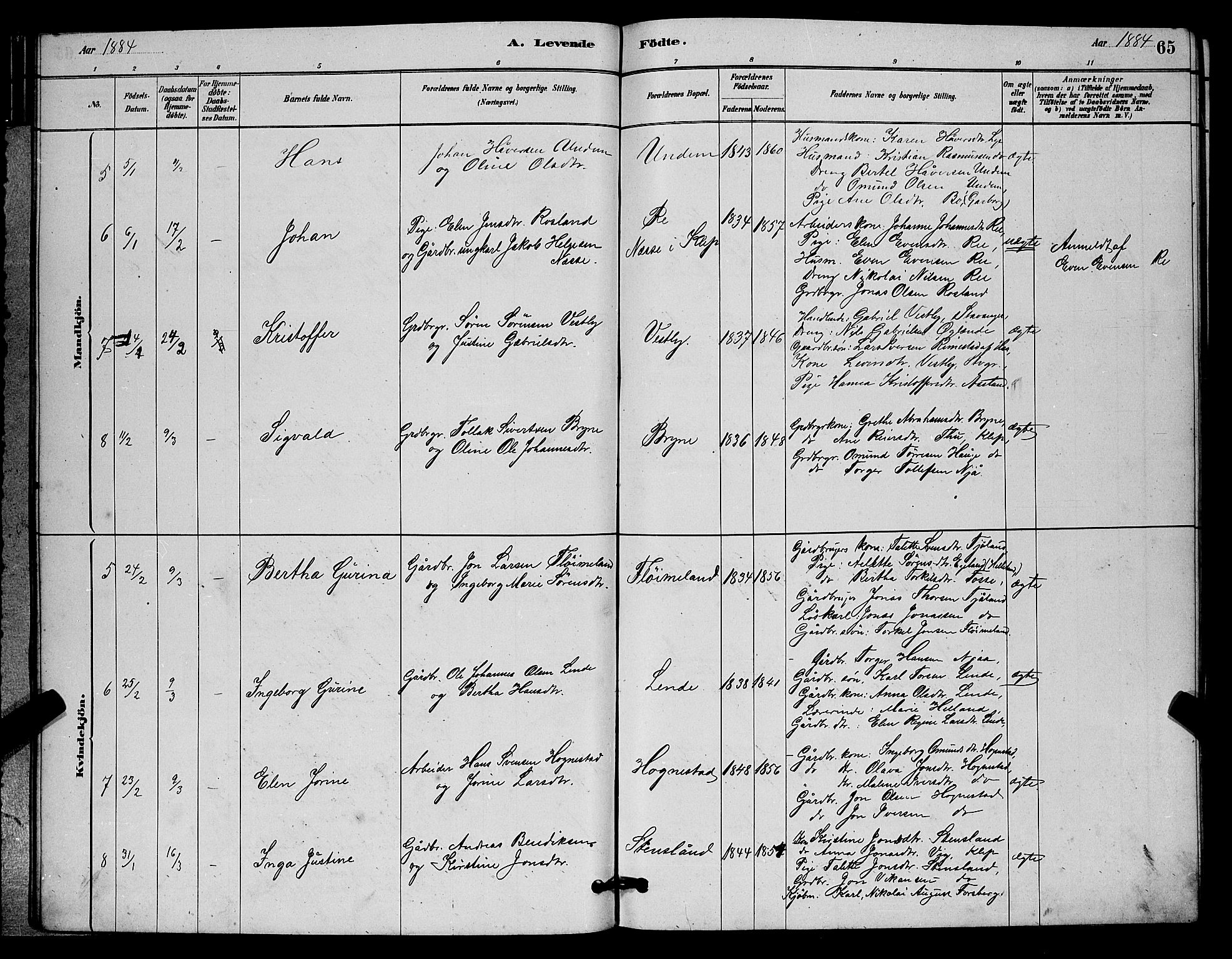 Lye sokneprestkontor, AV/SAST-A-101794/001/30BB/L0006: Parish register (copy) no. B 6, 1879-1888, p. 65