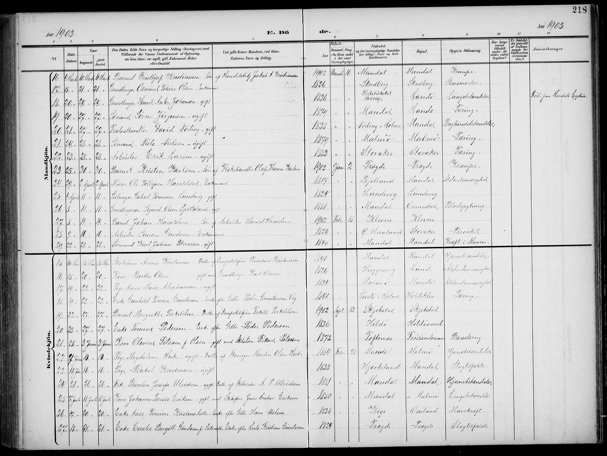 Mandal sokneprestkontor, AV/SAK-1111-0030/F/Fb/Fba/L0012: Parish register (copy) no. B 6, 1899-1918, p. 218