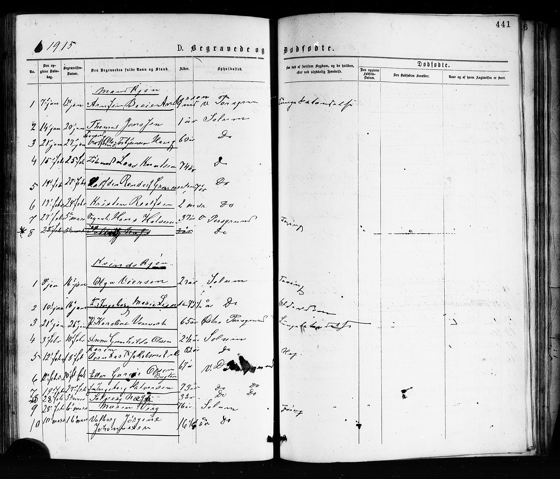 Porsgrunn kirkebøker , SAKO/A-104/G/Ga/L0003: Parish register (copy) no. I 3, 1877-1915, p. 441