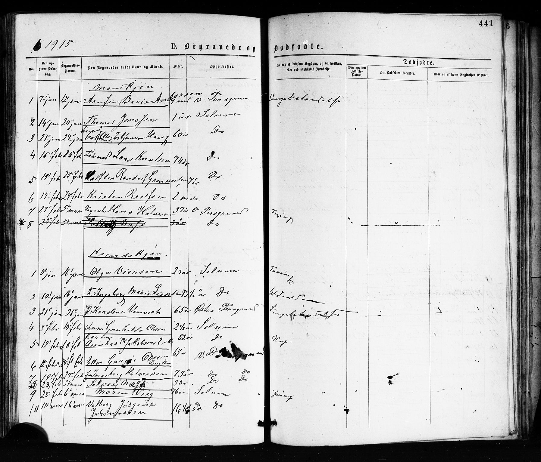 Porsgrunn kirkebøker , AV/SAKO-A-104/G/Ga/L0003: Parish register (copy) no. I 3, 1877-1915, p. 441