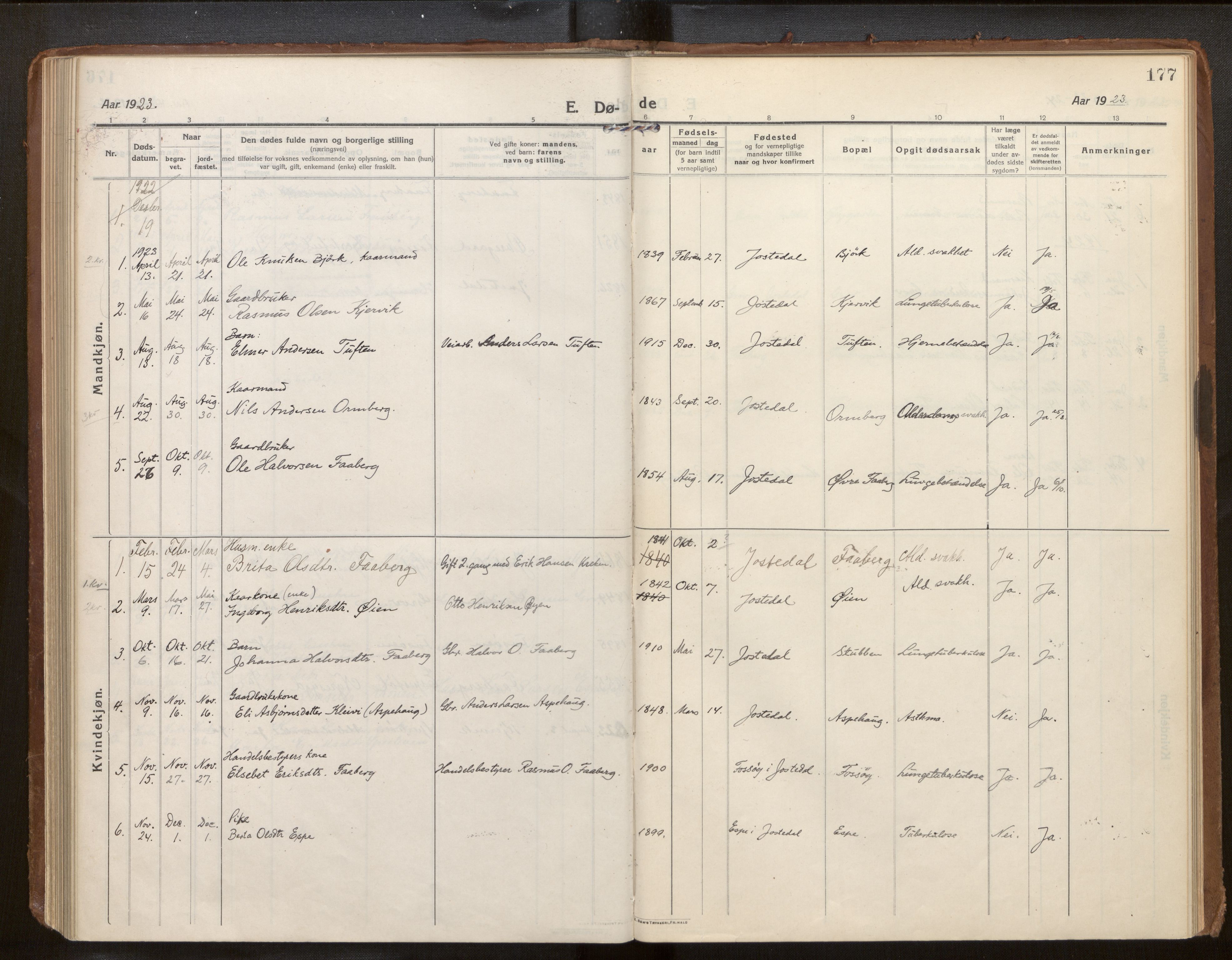 Jostedal sokneprestembete, SAB/A-80601/H/Haa/Haab/L0002: Parish register (official) no. B 2, 1915-1931, p. 177