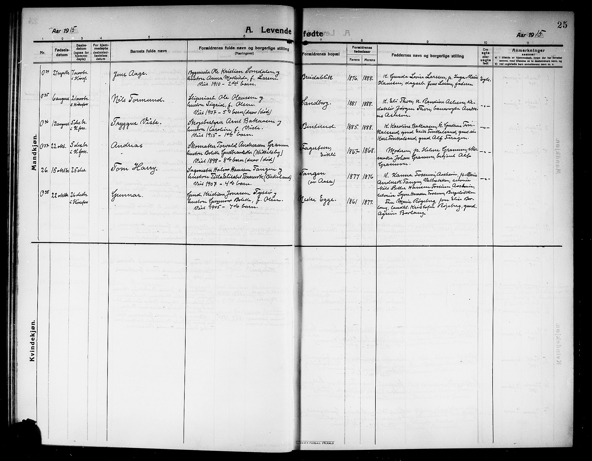 Norderhov kirkebøker, SAKO/A-237/G/Ga/L0009: Parish register (copy) no. I 9, 1913-1920, p. 25