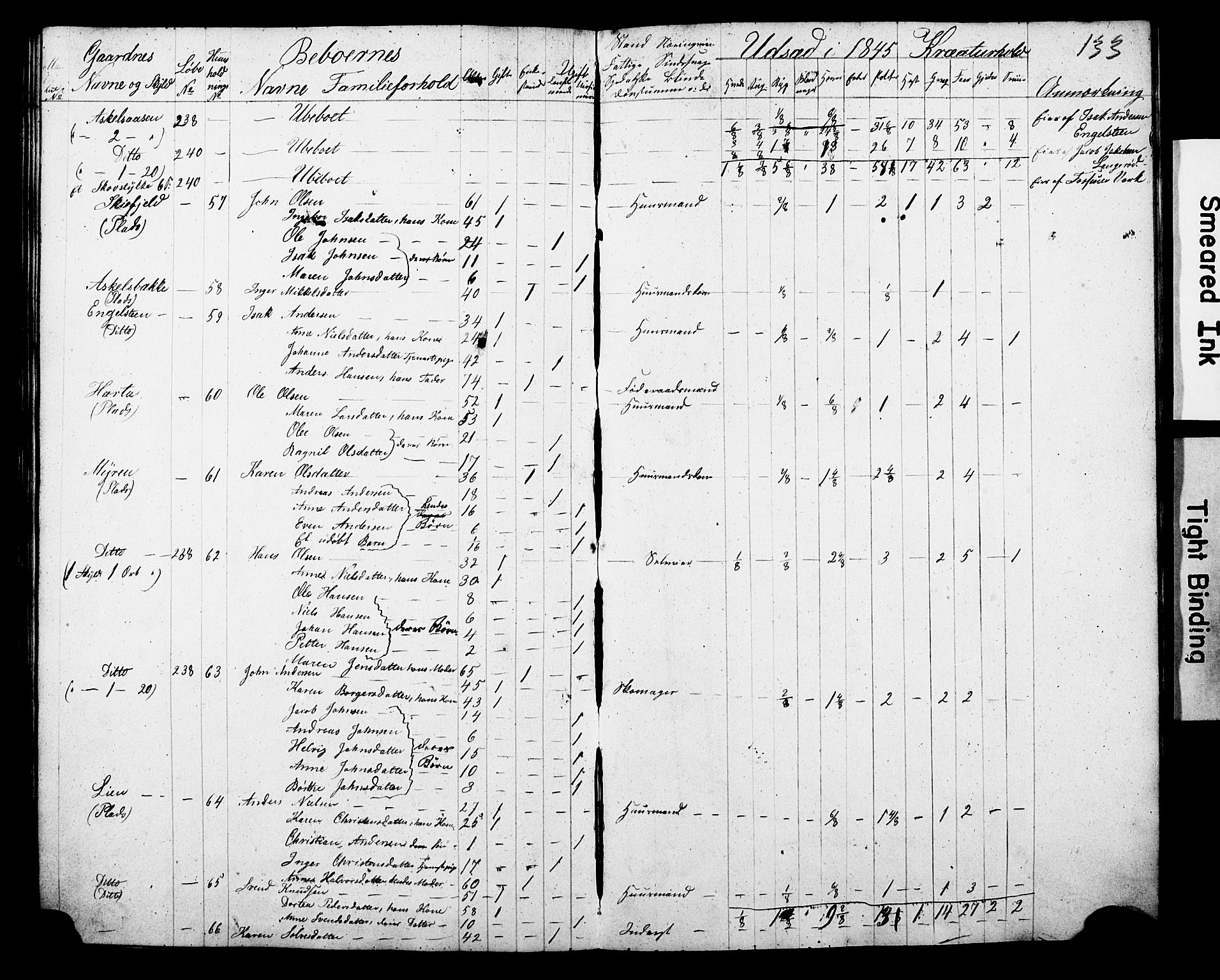 , Census 1845 for Gjerpen, 1845, p. 133