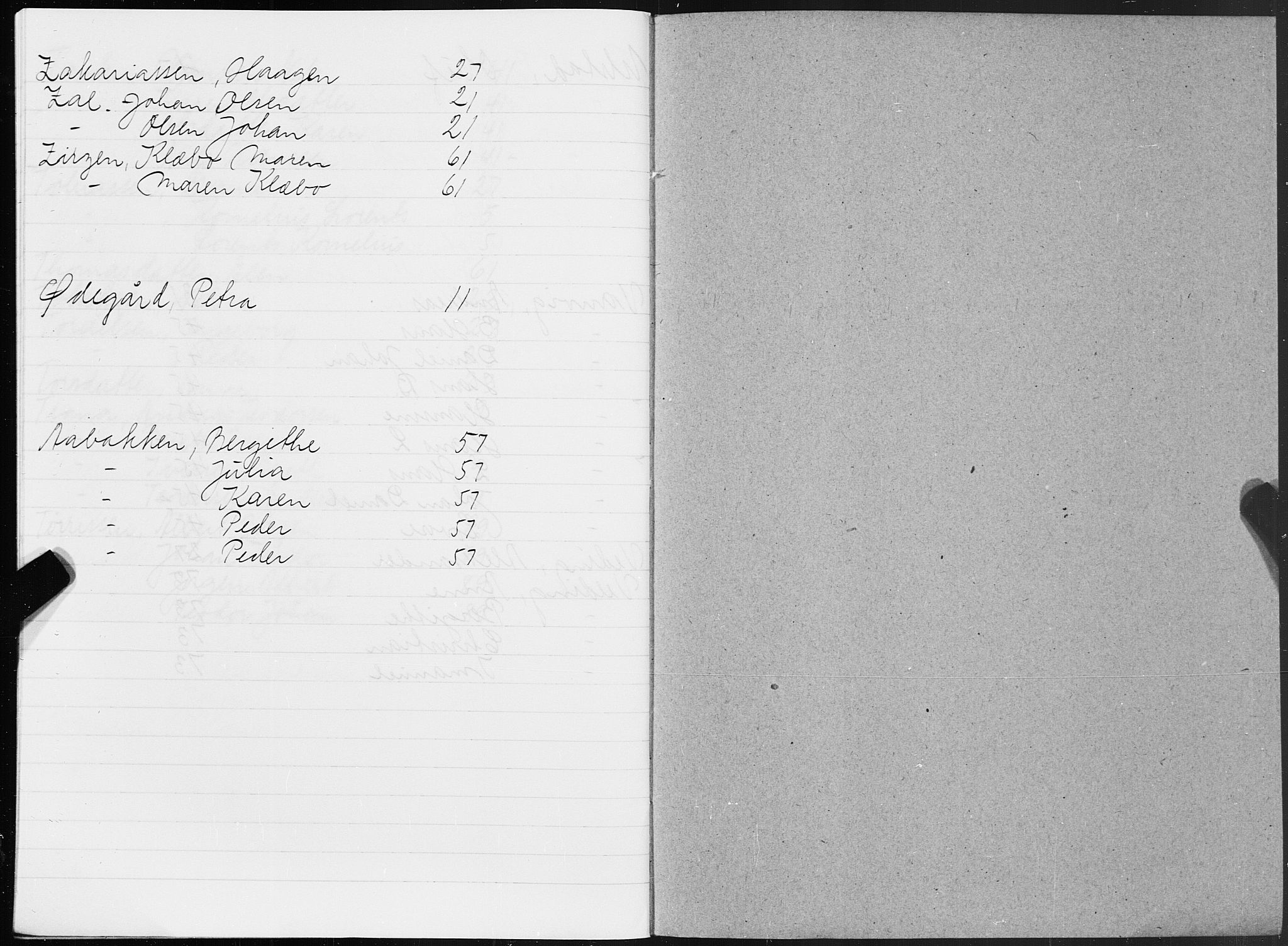 SAT, 1875 census for 1802B Vefsn/Mosjøen, 1875