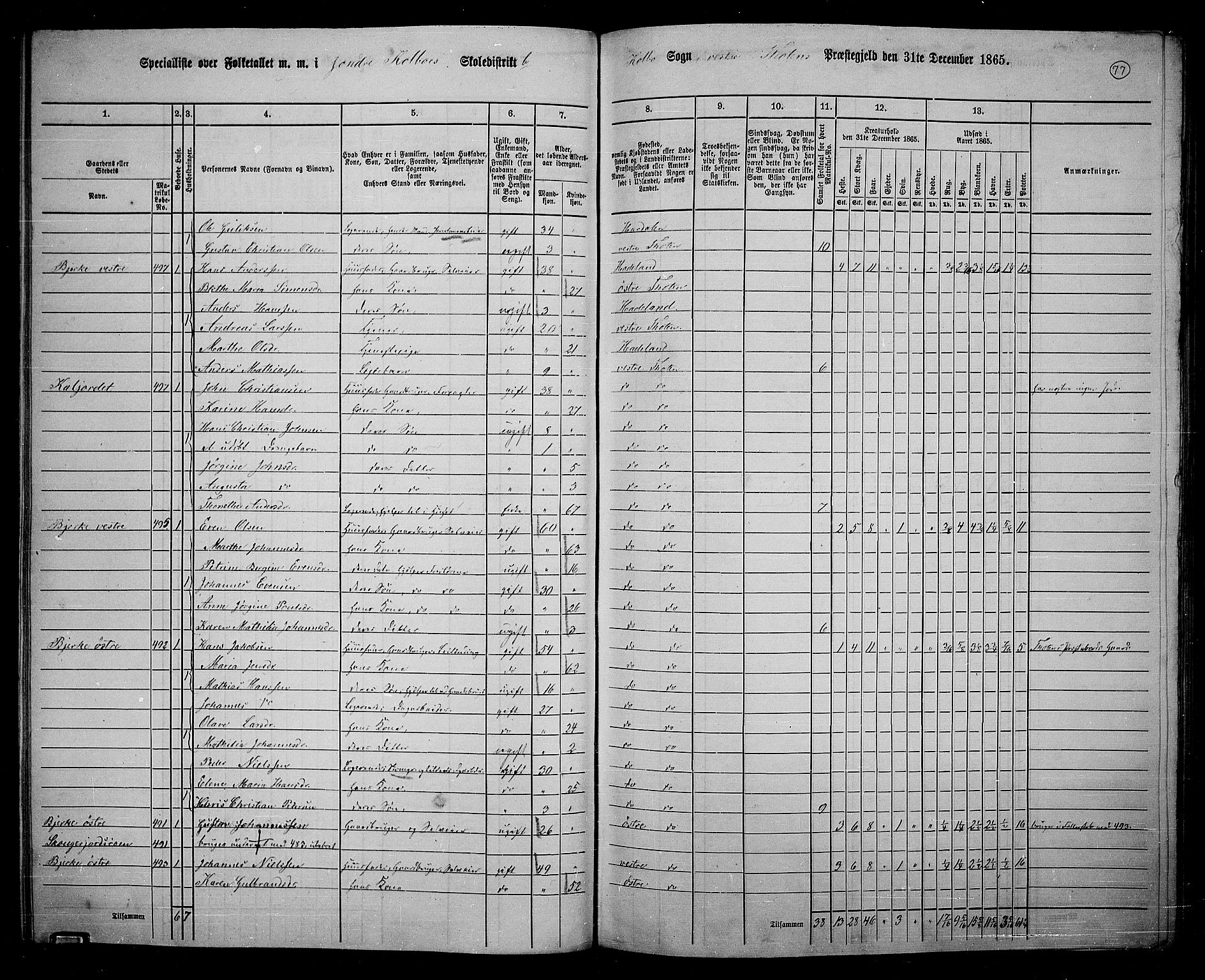 RA, 1865 census for Vestre Toten, 1865, p. 231