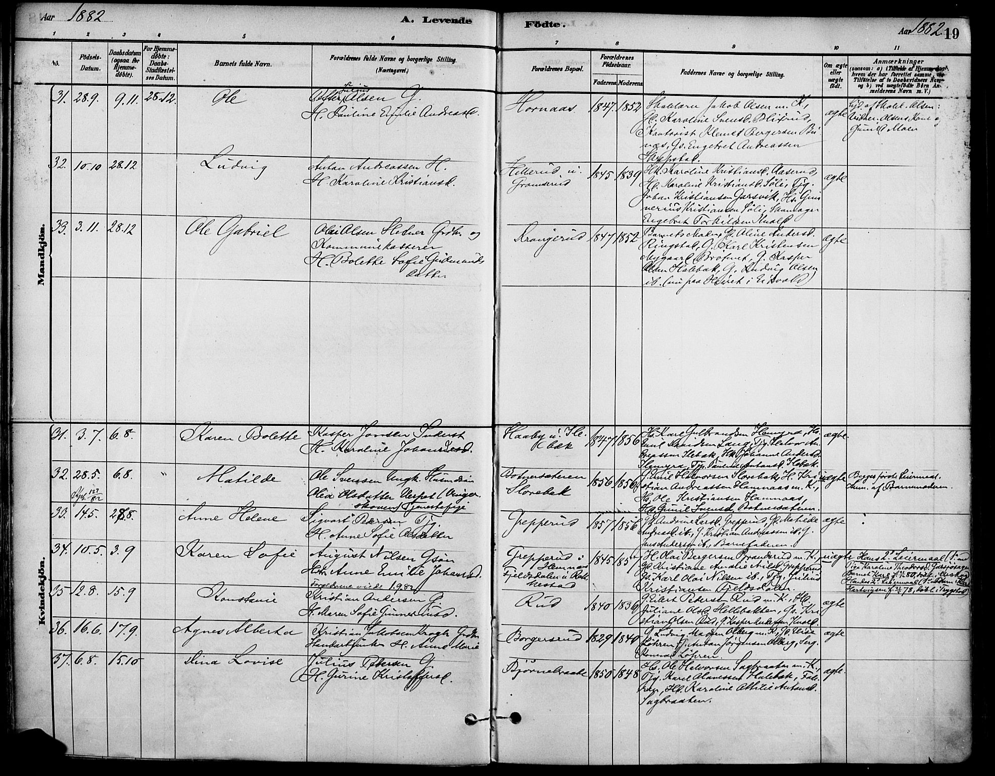 Høland prestekontor Kirkebøker, AV/SAO-A-10346a/F/Fa/L0013: Parish register (official) no. I 13, 1880-1897, p. 19