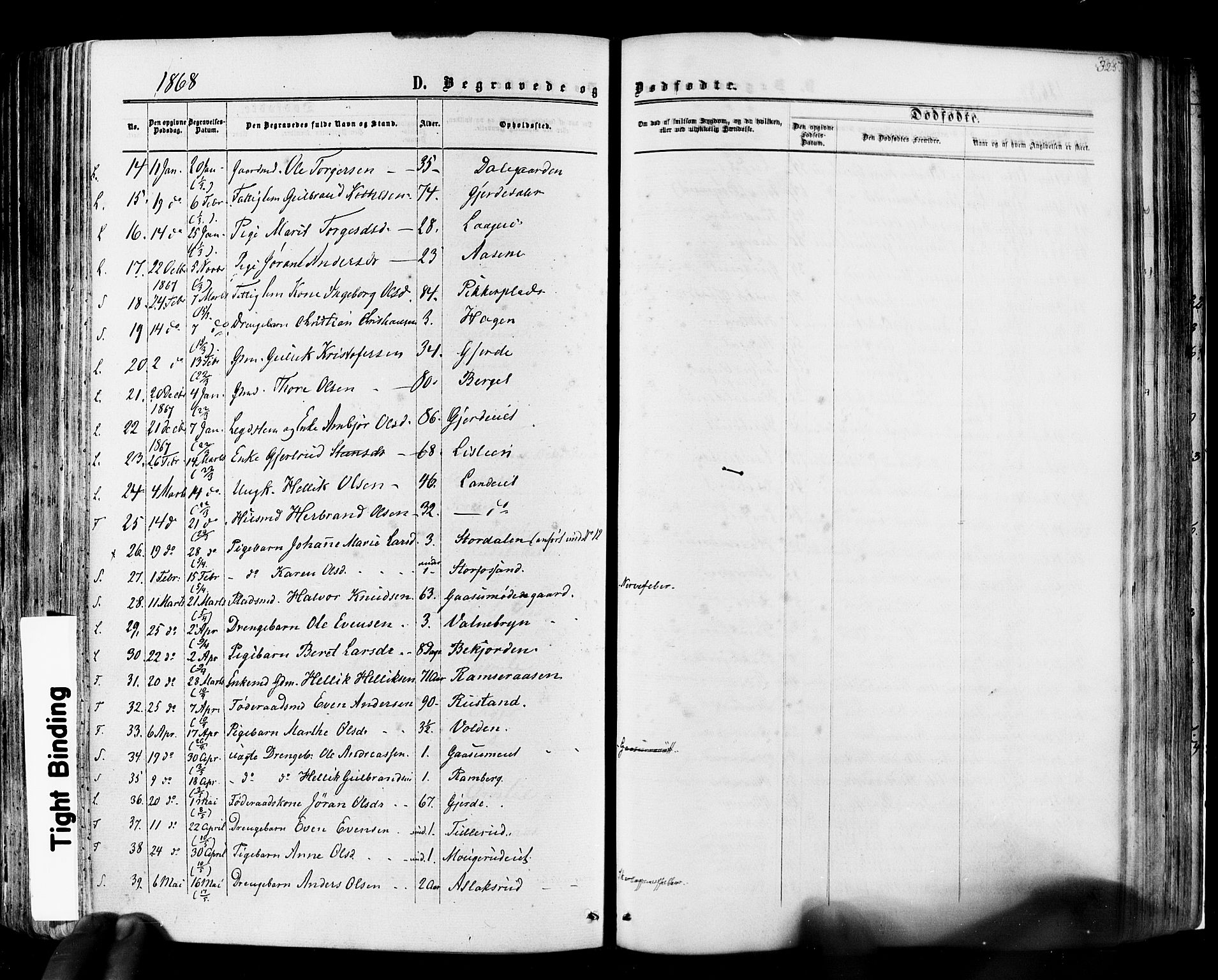 Flesberg kirkebøker, AV/SAKO-A-18/F/Fa/L0007: Parish register (official) no. I 7, 1861-1878, p. 325