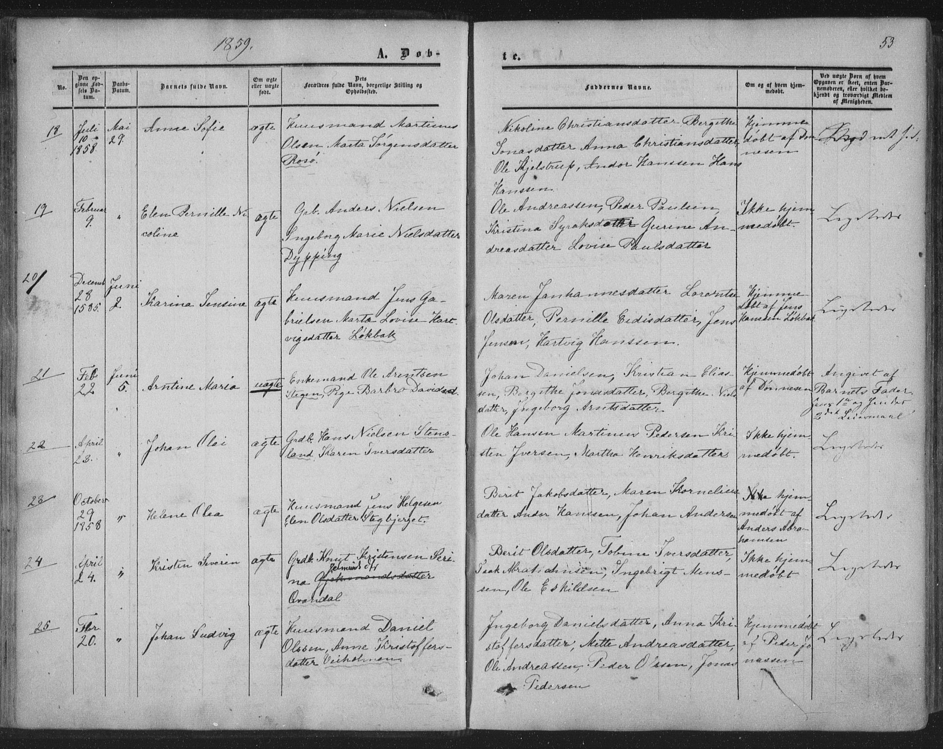 Ministerialprotokoller, klokkerbøker og fødselsregistre - Nordland, AV/SAT-A-1459/855/L0800: Parish register (official) no. 855A08, 1852-1864, p. 53