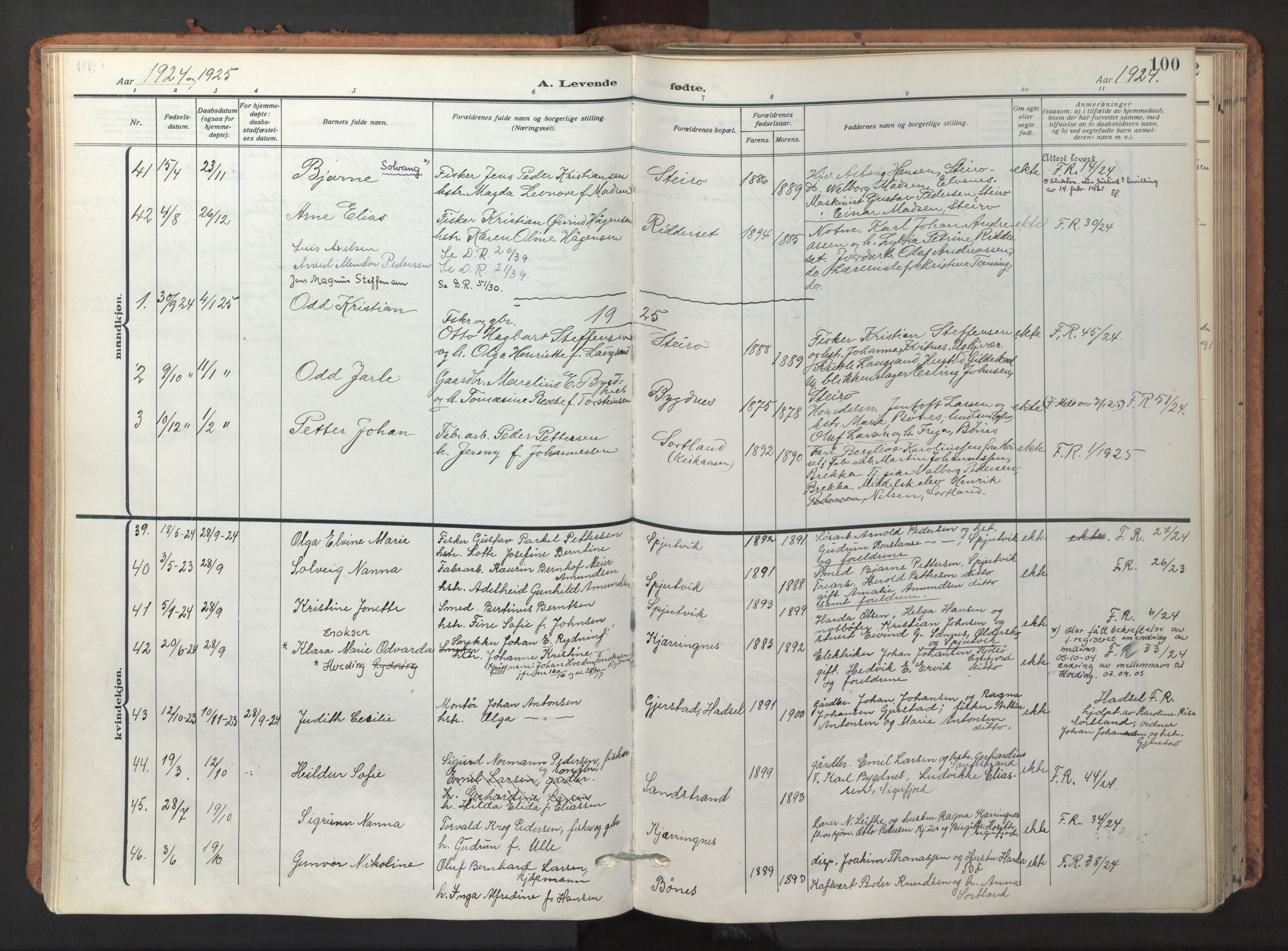 Ministerialprotokoller, klokkerbøker og fødselsregistre - Nordland, AV/SAT-A-1459/895/L1374: Parish register (official) no. 895A09, 1915-1925, p. 100