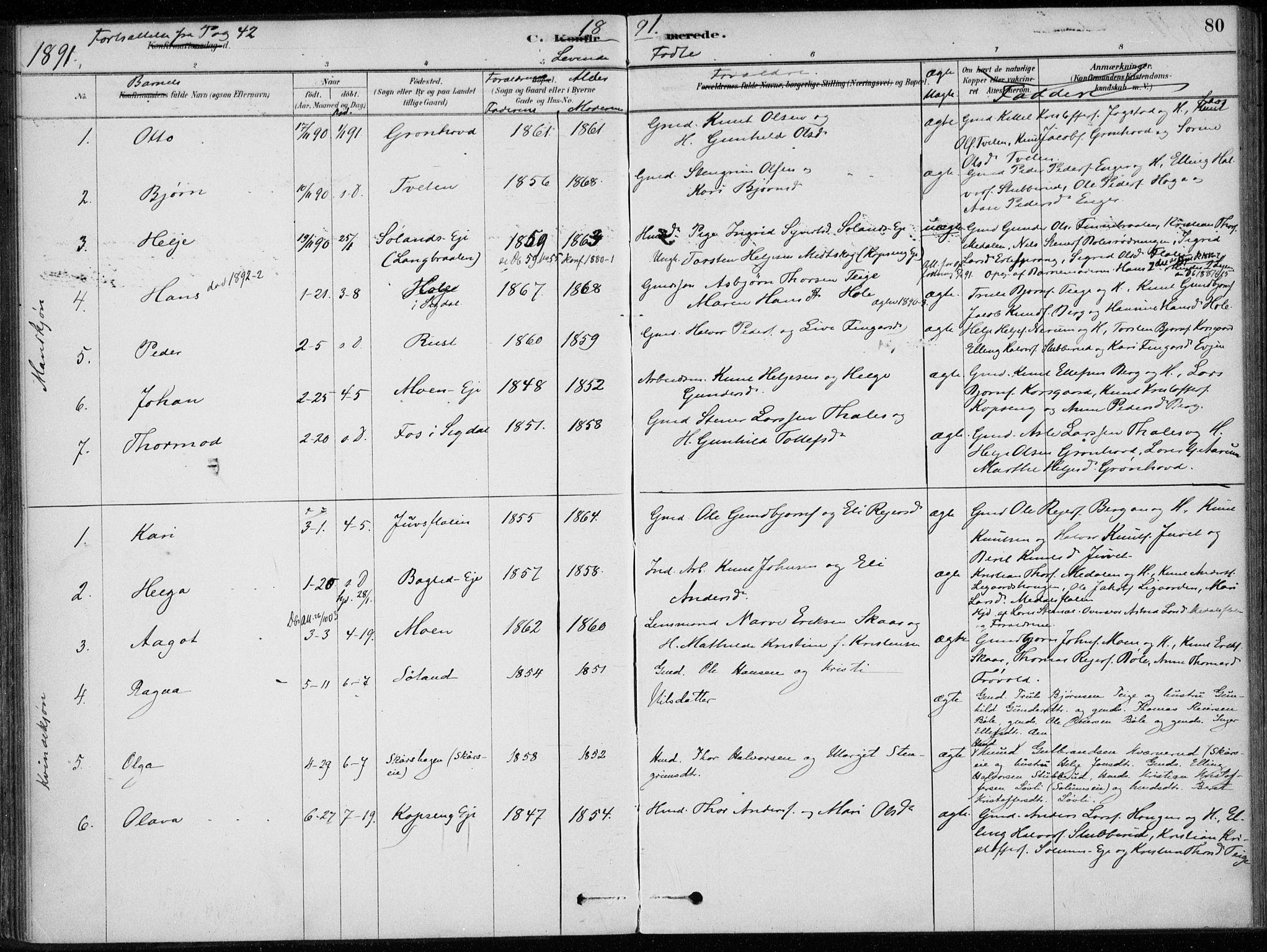 Sigdal kirkebøker, AV/SAKO-A-245/F/Fc/L0001: Parish register (official) no. III 1, 1879-1893, p. 80
