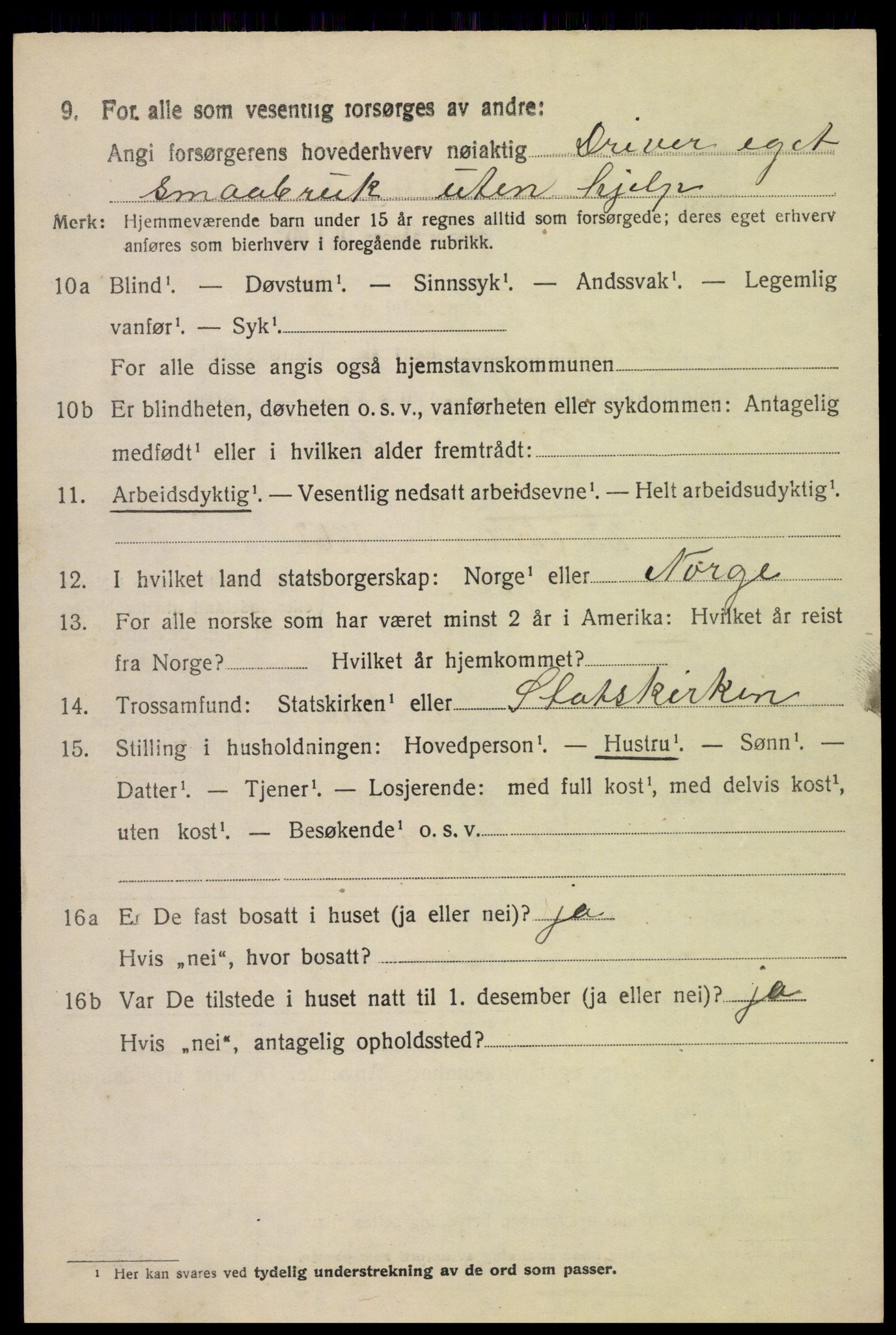 SAH, 1920 census for Fåberg, 1920, p. 11653