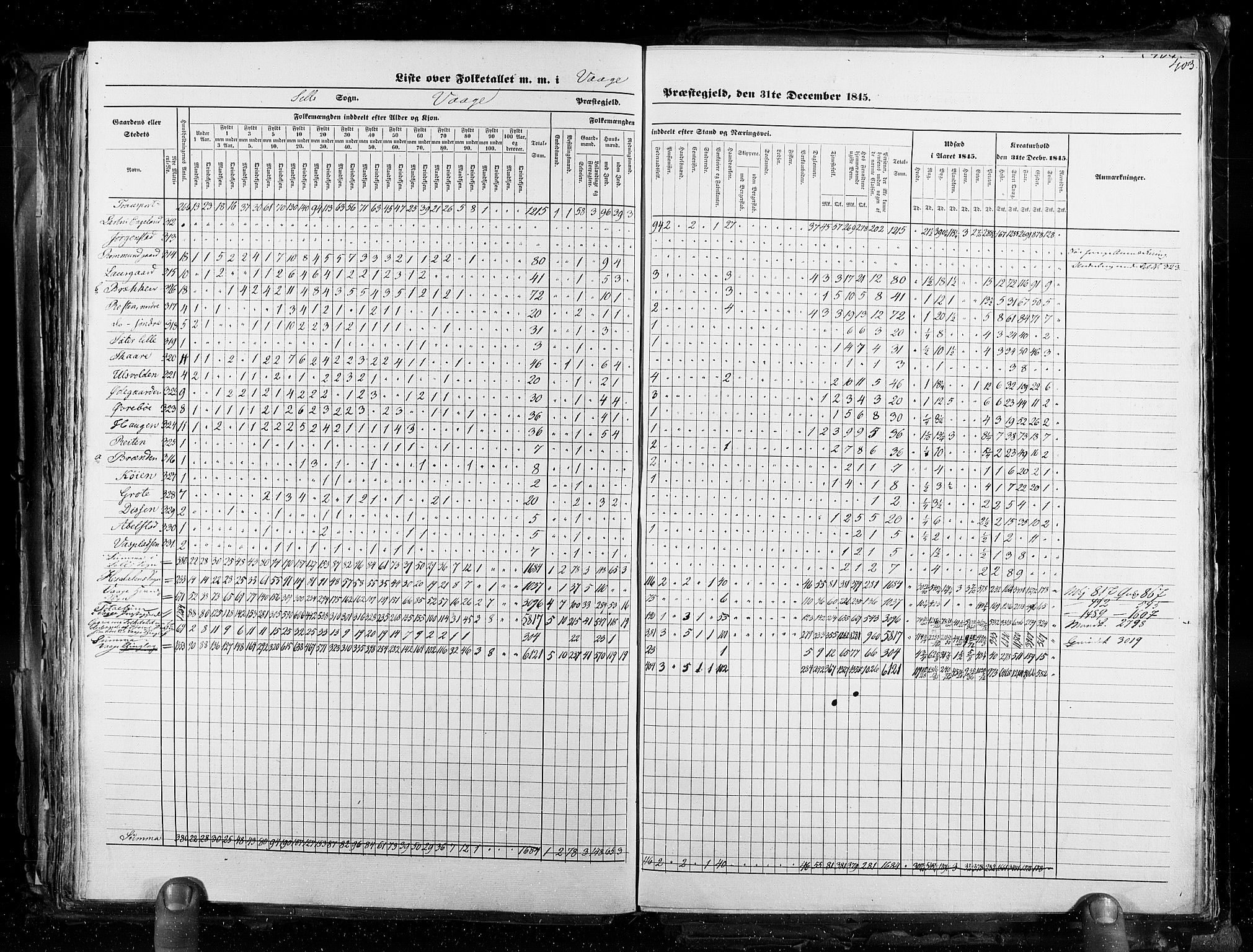 RA, Census 1845, vol. 3: Hedemarken amt og Kristians amt, 1845, p. 403