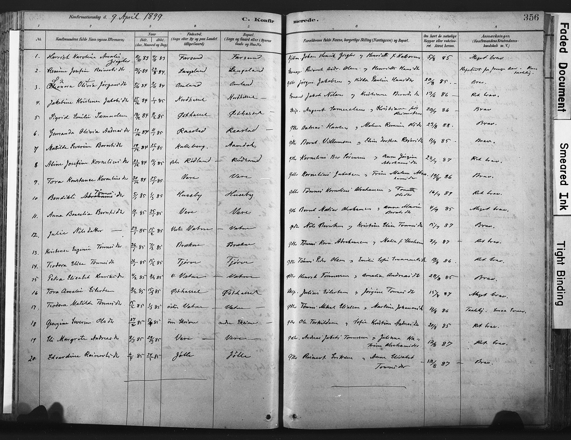 Lista sokneprestkontor, AV/SAK-1111-0027/F/Fa/L0012: Parish register (official) no. A 12, 1879-1903, p. 356