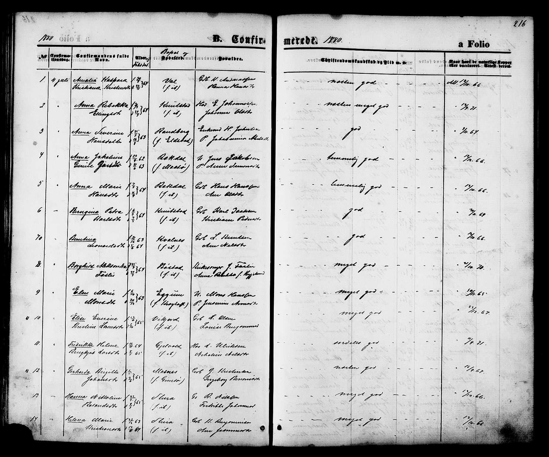 Ministerialprotokoller, klokkerbøker og fødselsregistre - Nordland, SAT/A-1459/880/L1132: Parish register (official) no. 880A06, 1869-1887, p. 216