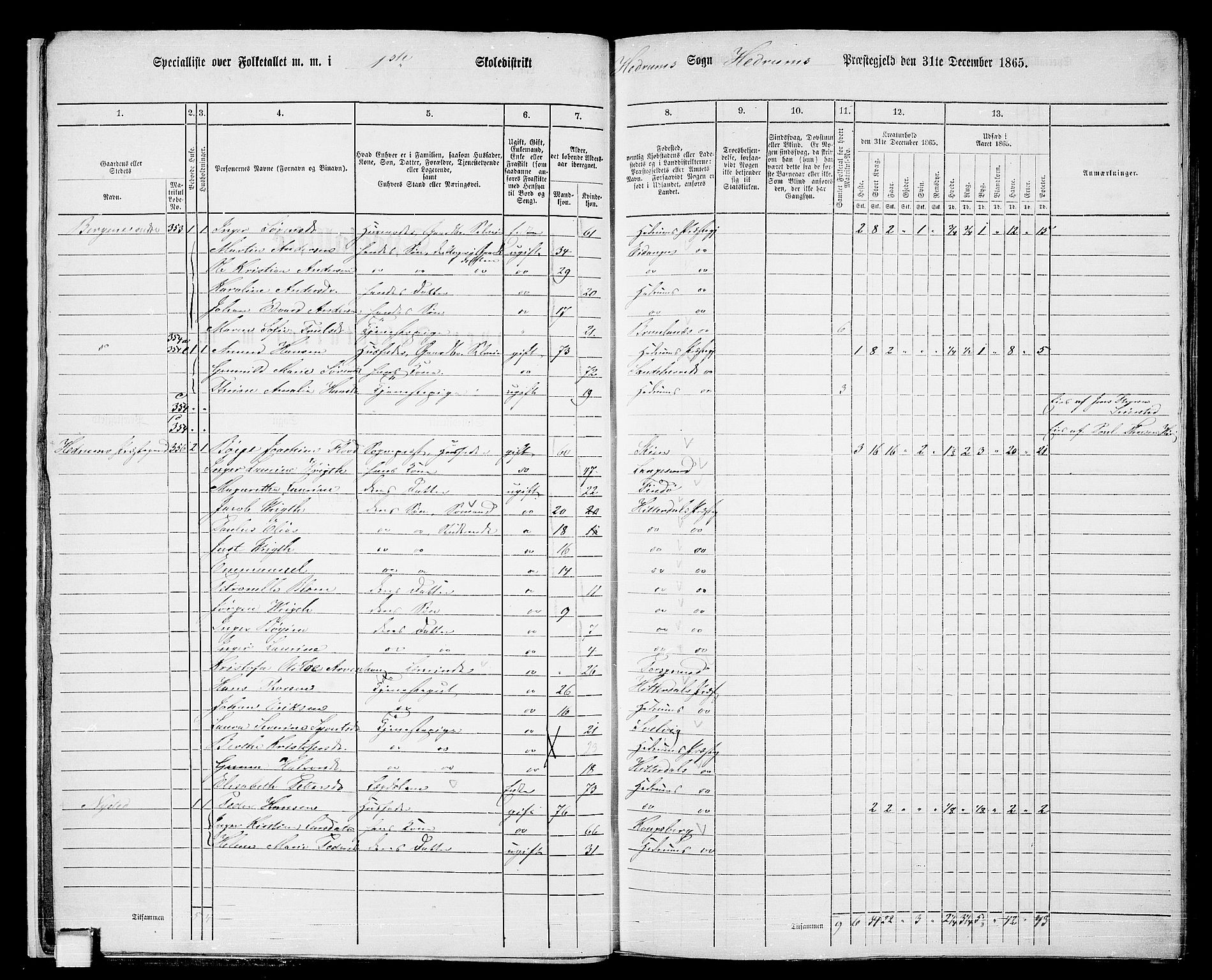 RA, 1865 census for Hedrum, 1865, p. 15