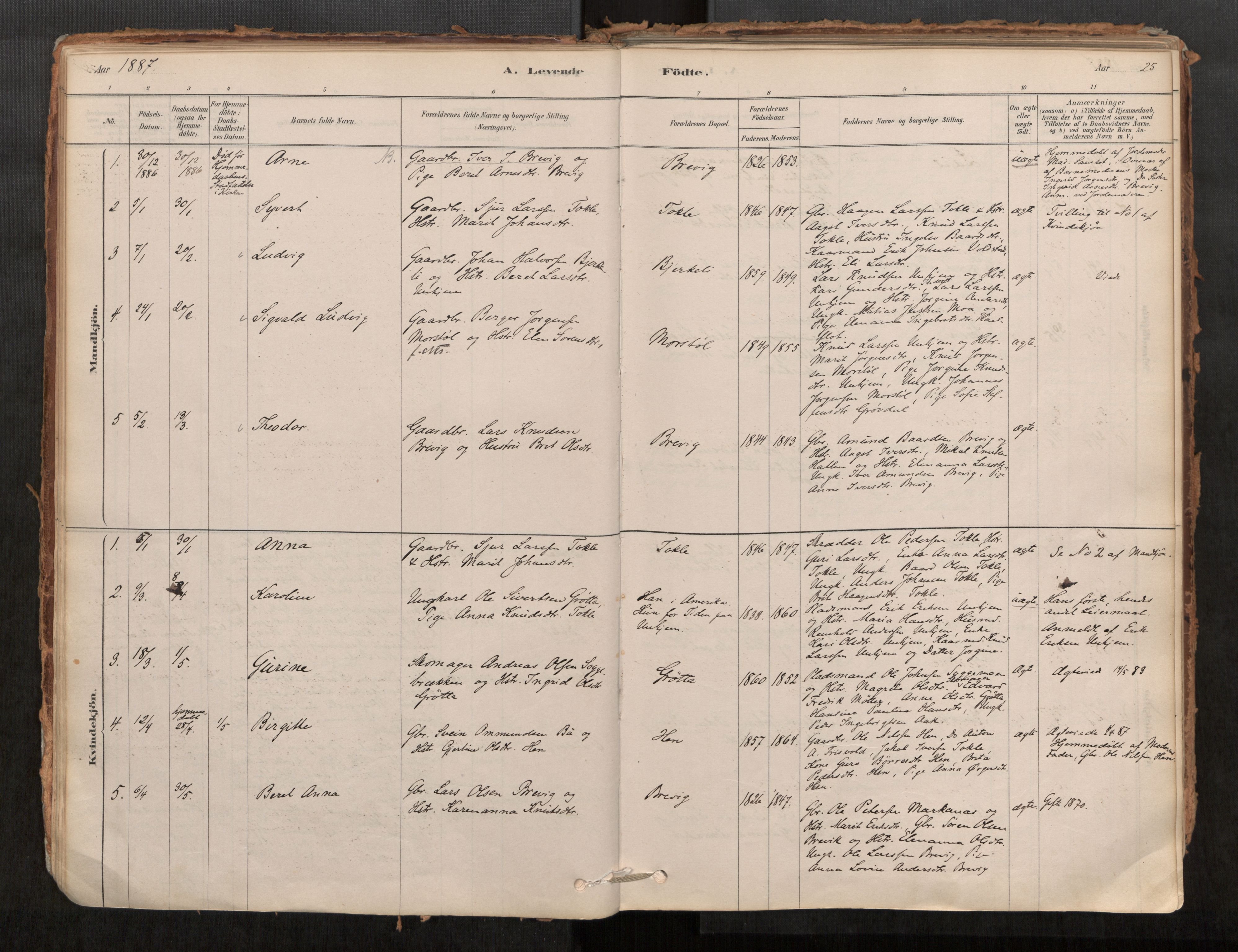 Ministerialprotokoller, klokkerbøker og fødselsregistre - Møre og Romsdal, SAT/A-1454/545/L0594: Parish register (official) no. 545A03, 1878-1920, p. 25