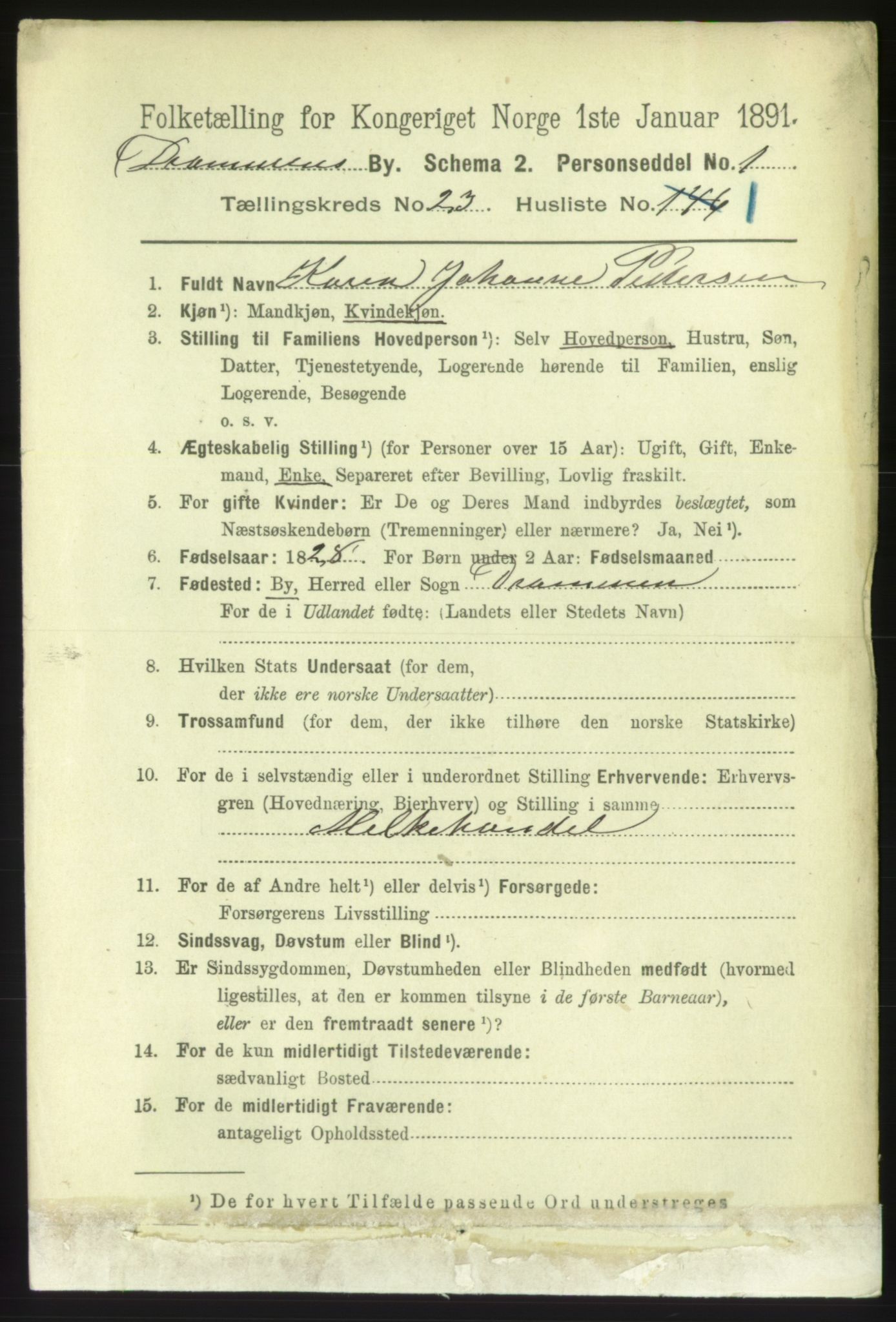 RA, 1891 census for 0602 Drammen, 1891, p. 14059