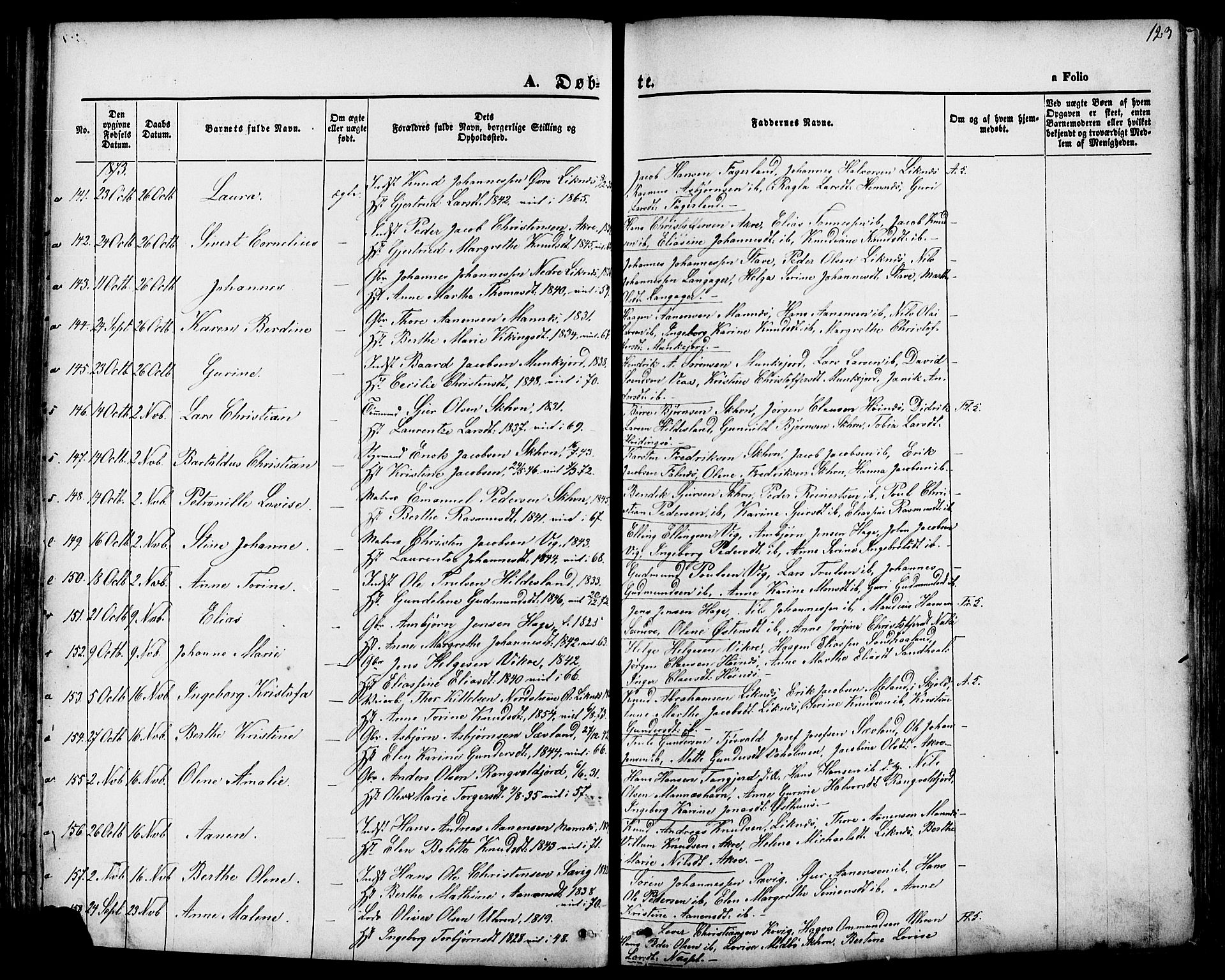 Skudenes sokneprestkontor, SAST/A -101849/H/Ha/Haa/L0006: Parish register (official) no. A 4, 1864-1881, p. 123