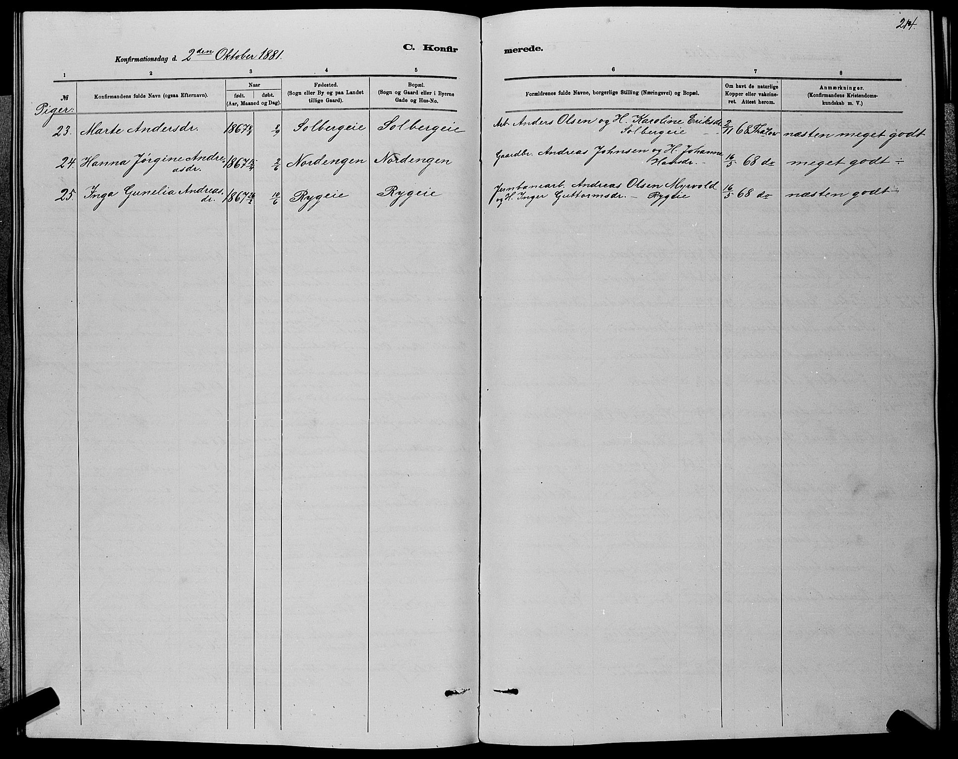 Nedre Eiker kirkebøker, AV/SAKO-A-612/G/Ga/L0002: Parish register (copy) no. 2, 1880-1896, p. 214