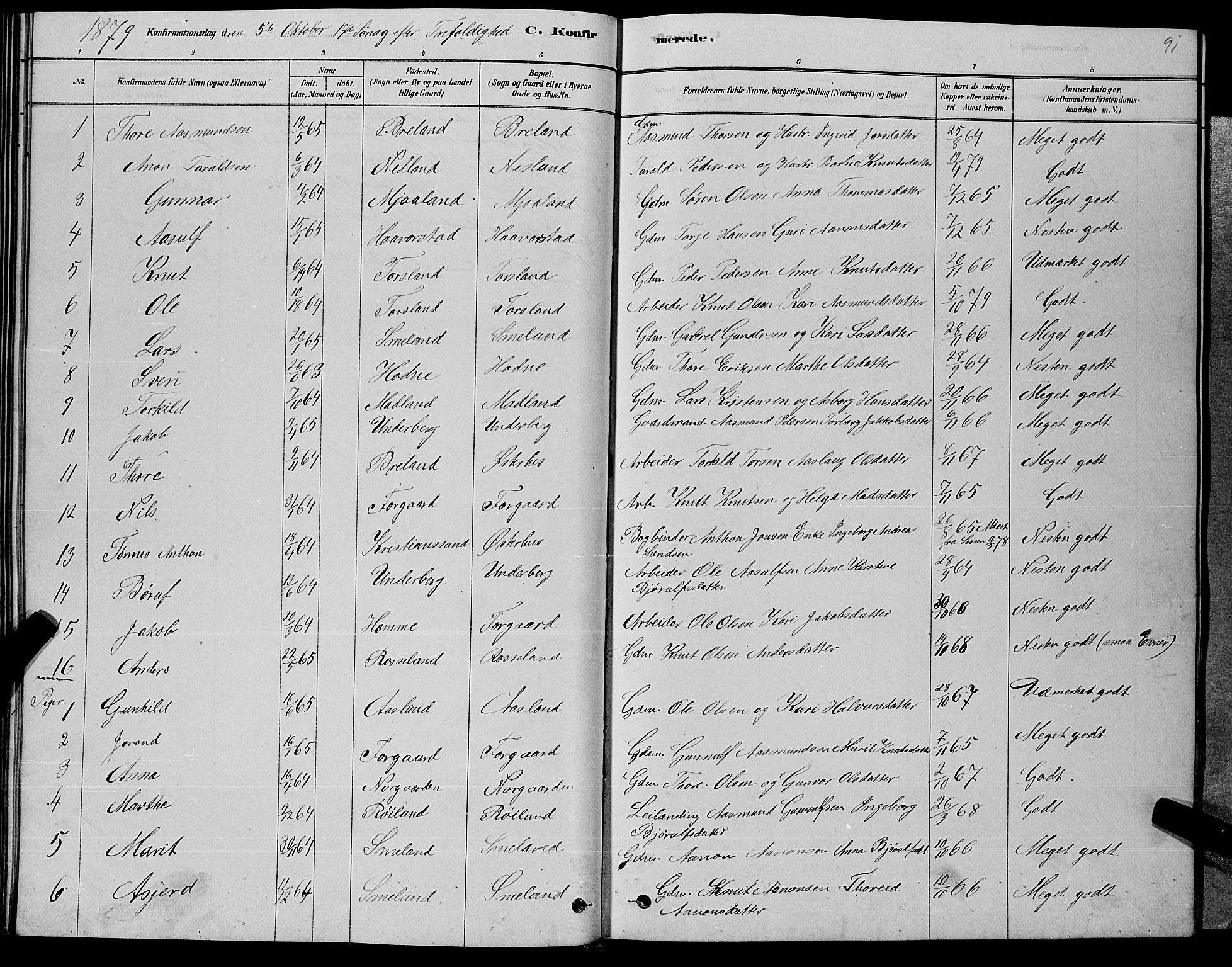 Åseral sokneprestkontor, SAK/1111-0051/F/Fb/L0002: Parish register (copy) no. B 2, 1878-1899, p. 91