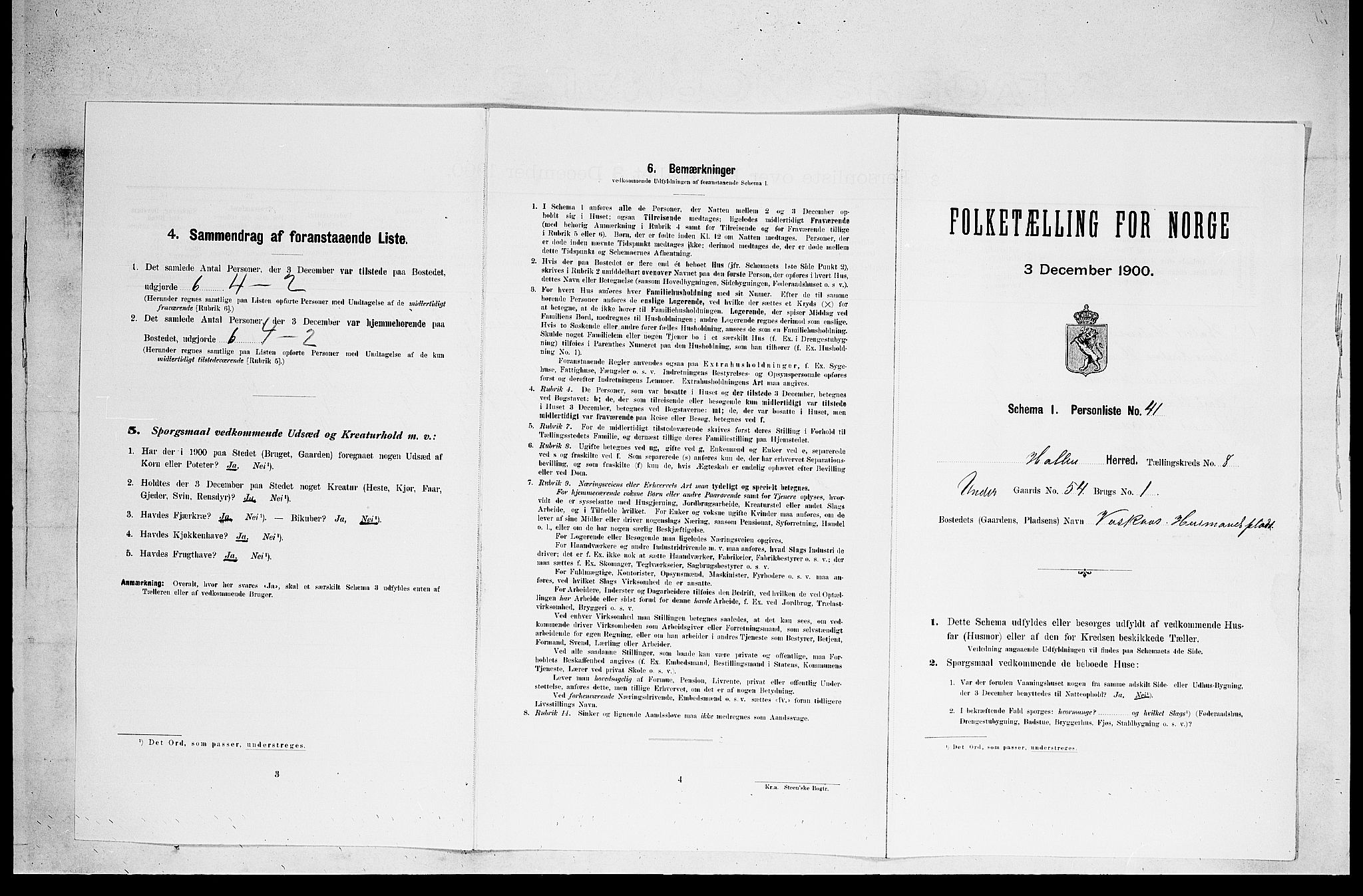 SAKO, 1900 census for Holla, 1900, p. 867