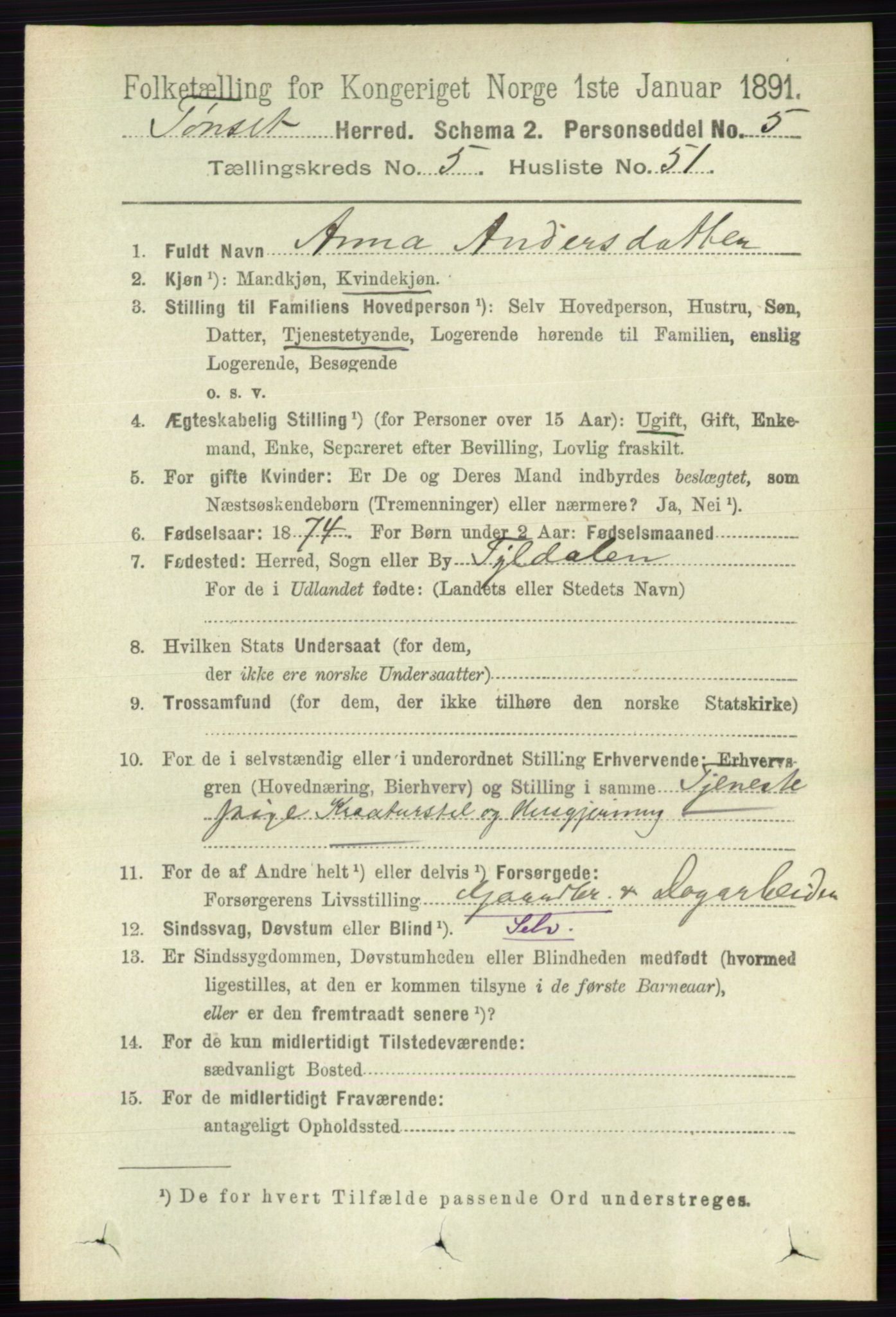 RA, 1891 census for 0437 Tynset, 1891, p. 1368