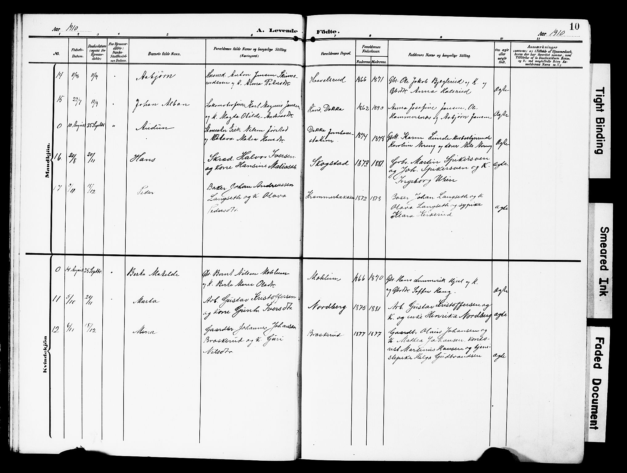 Nordre Land prestekontor, SAH/PREST-124/H/Ha/Hab/L0001: Parish register (copy) no. 1, 1908-1931, p. 10