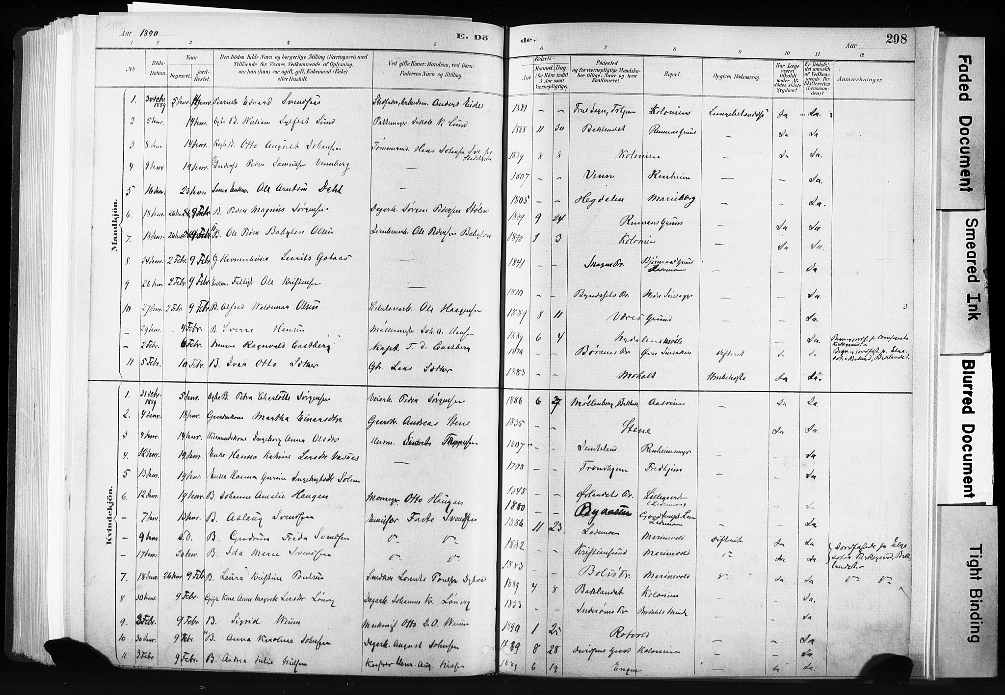 Ministerialprotokoller, klokkerbøker og fødselsregistre - Sør-Trøndelag, SAT/A-1456/606/L0300: Parish register (official) no. 606A15, 1886-1893, p. 298
