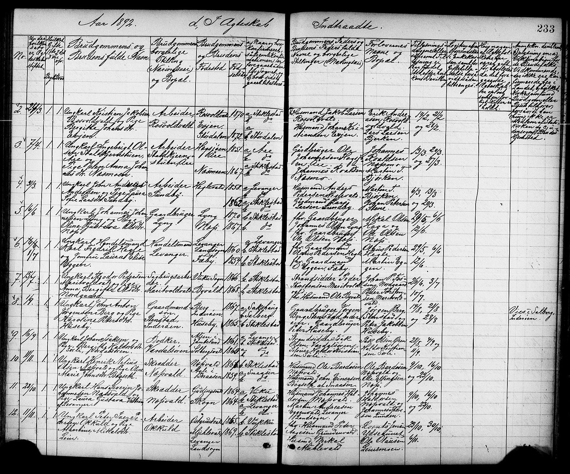 Ministerialprotokoller, klokkerbøker og fødselsregistre - Nord-Trøndelag, AV/SAT-A-1458/723/L0257: Parish register (copy) no. 723C05, 1890-1907, p. 233