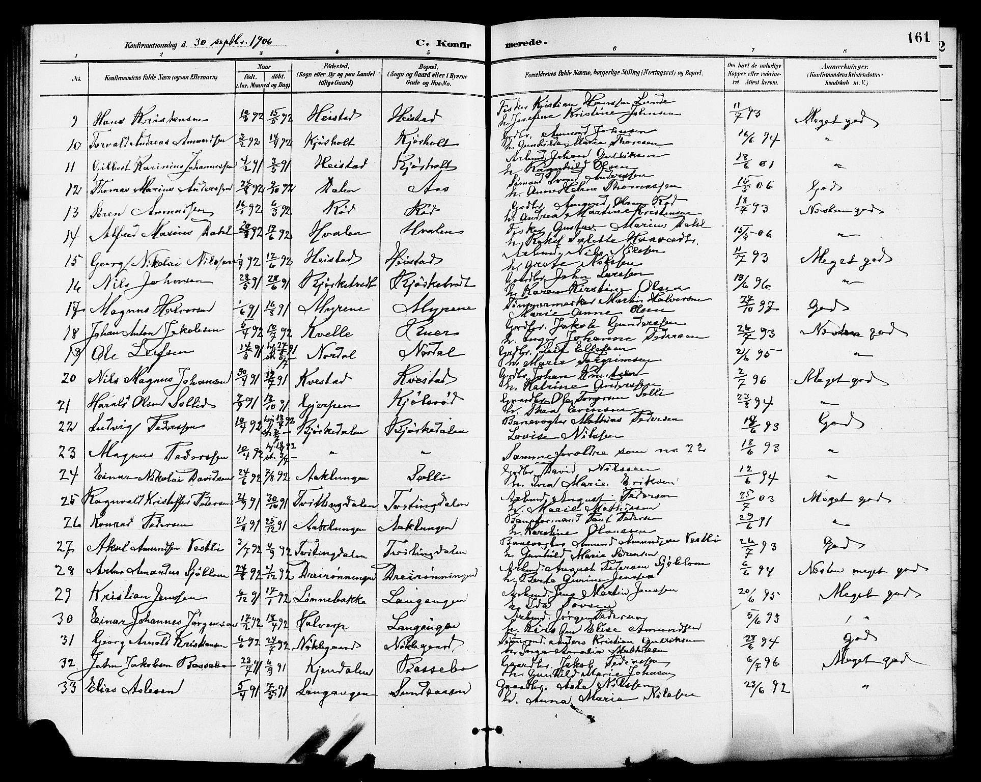 Eidanger kirkebøker, AV/SAKO-A-261/G/Ga/L0003: Parish register (copy) no. 3, 1893-1911, p. 161