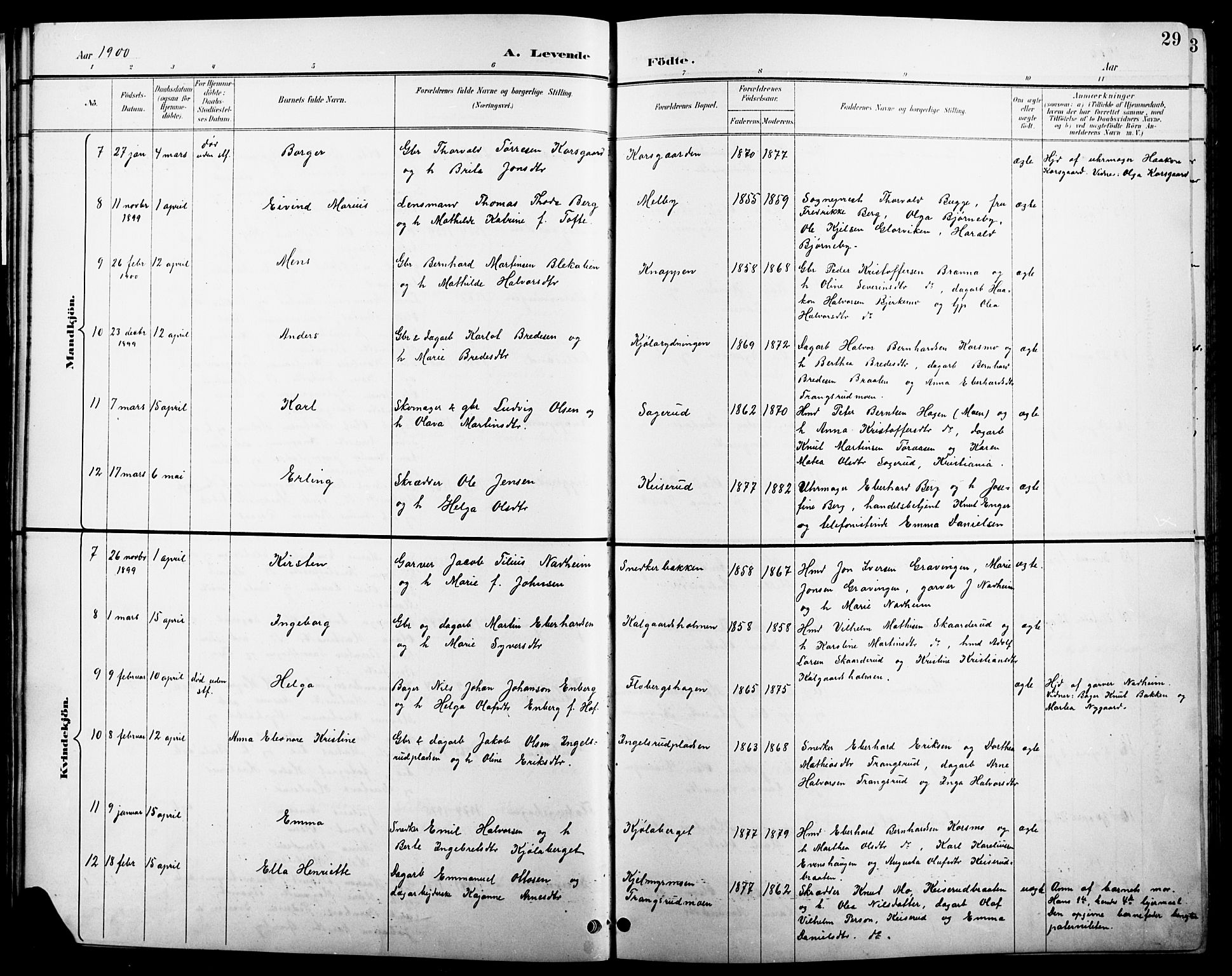 Åsnes prestekontor, SAH/PREST-042/H/Ha/Hab/L0004: Parish register (copy) no. 4, 1895-1909, p. 29