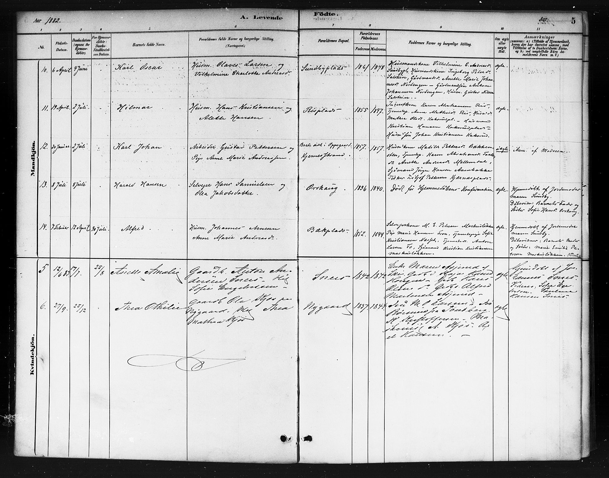 Ås prestekontor Kirkebøker, AV/SAO-A-10894/F/Fb/L0001: Parish register (official) no. II 1, 1881-1895, p. 5