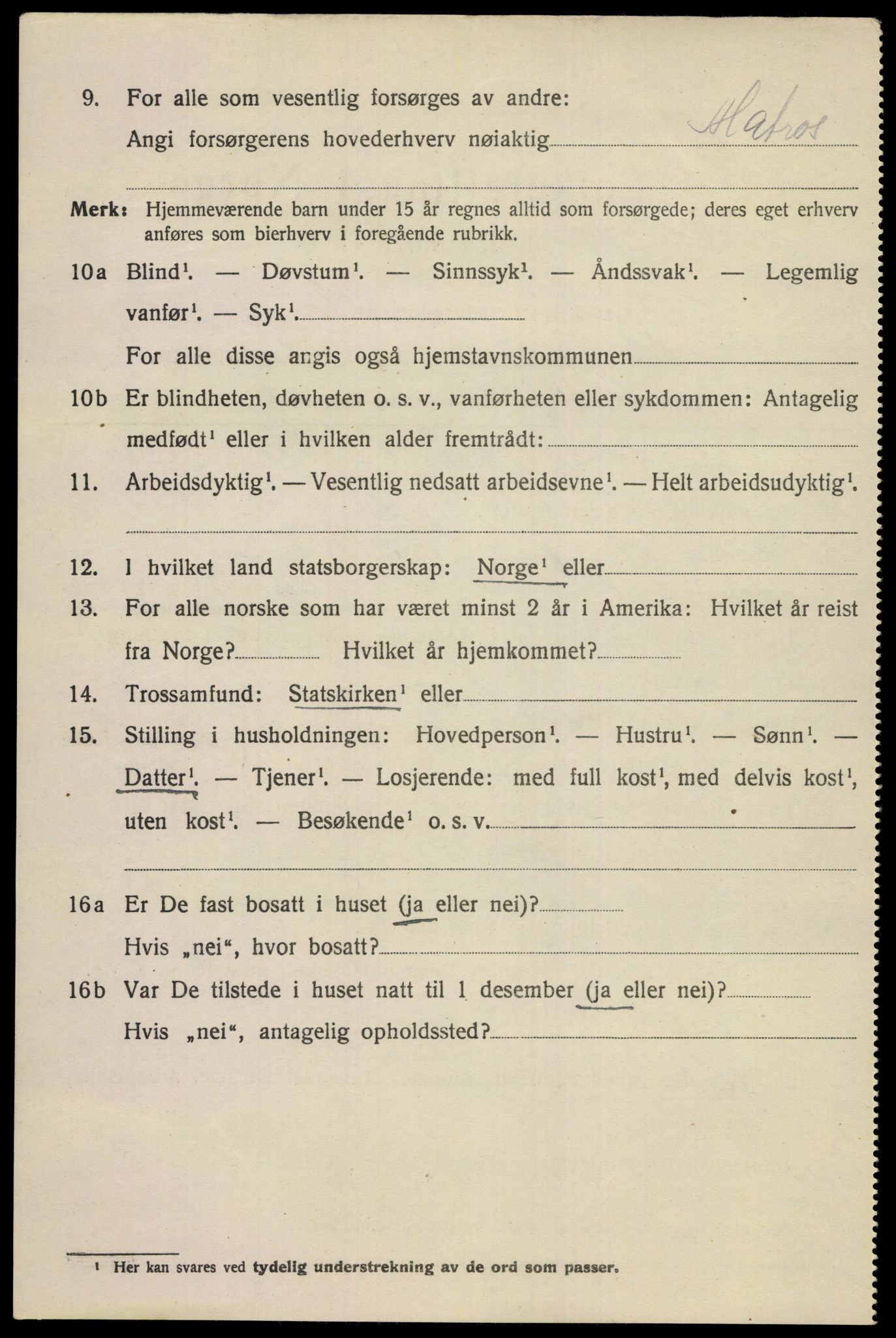 SAKO, 1920 census for Porsgrunn, 1920, p. 19894