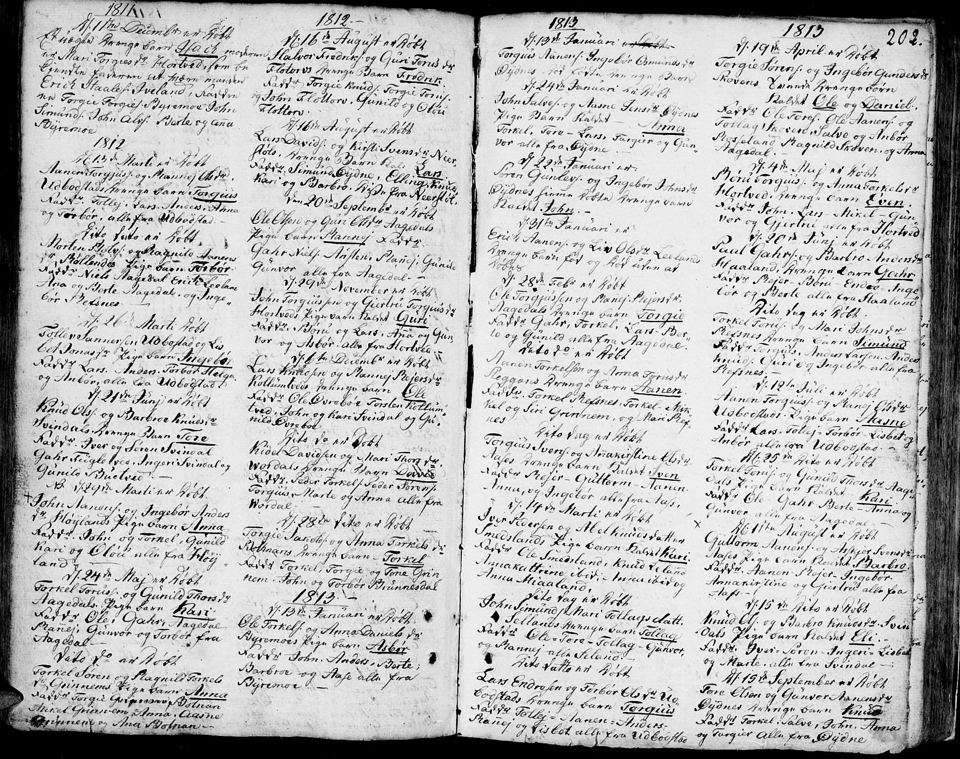 Bjelland sokneprestkontor, SAK/1111-0005/F/Fa/Faa/L0001: Parish register (official) no. A 1 /3, 1793-1815, p. 202