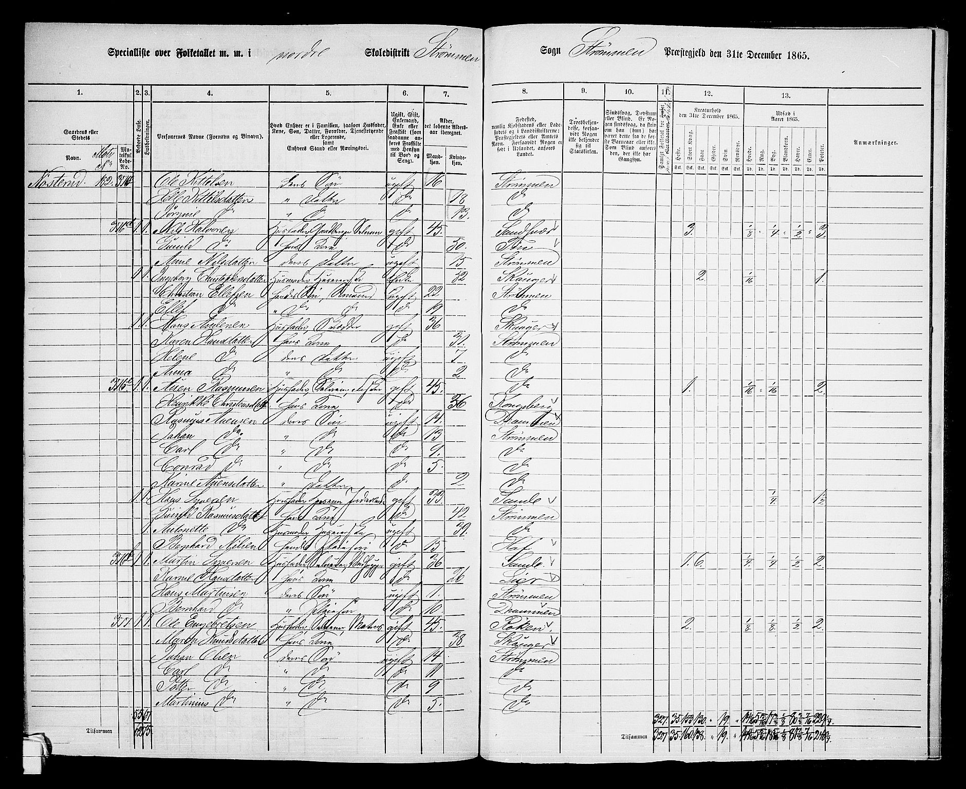 RA, 1865 census for Strømm, 1865, p. 47