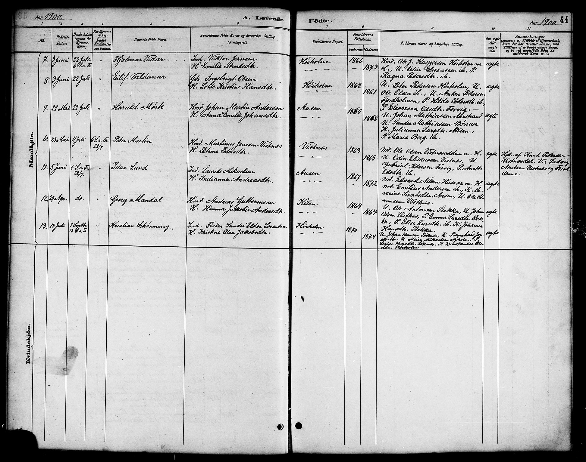 Ministerialprotokoller, klokkerbøker og fødselsregistre - Nordland, AV/SAT-A-1459/819/L0277: Parish register (copy) no. 819C03, 1888-1917, p. 44