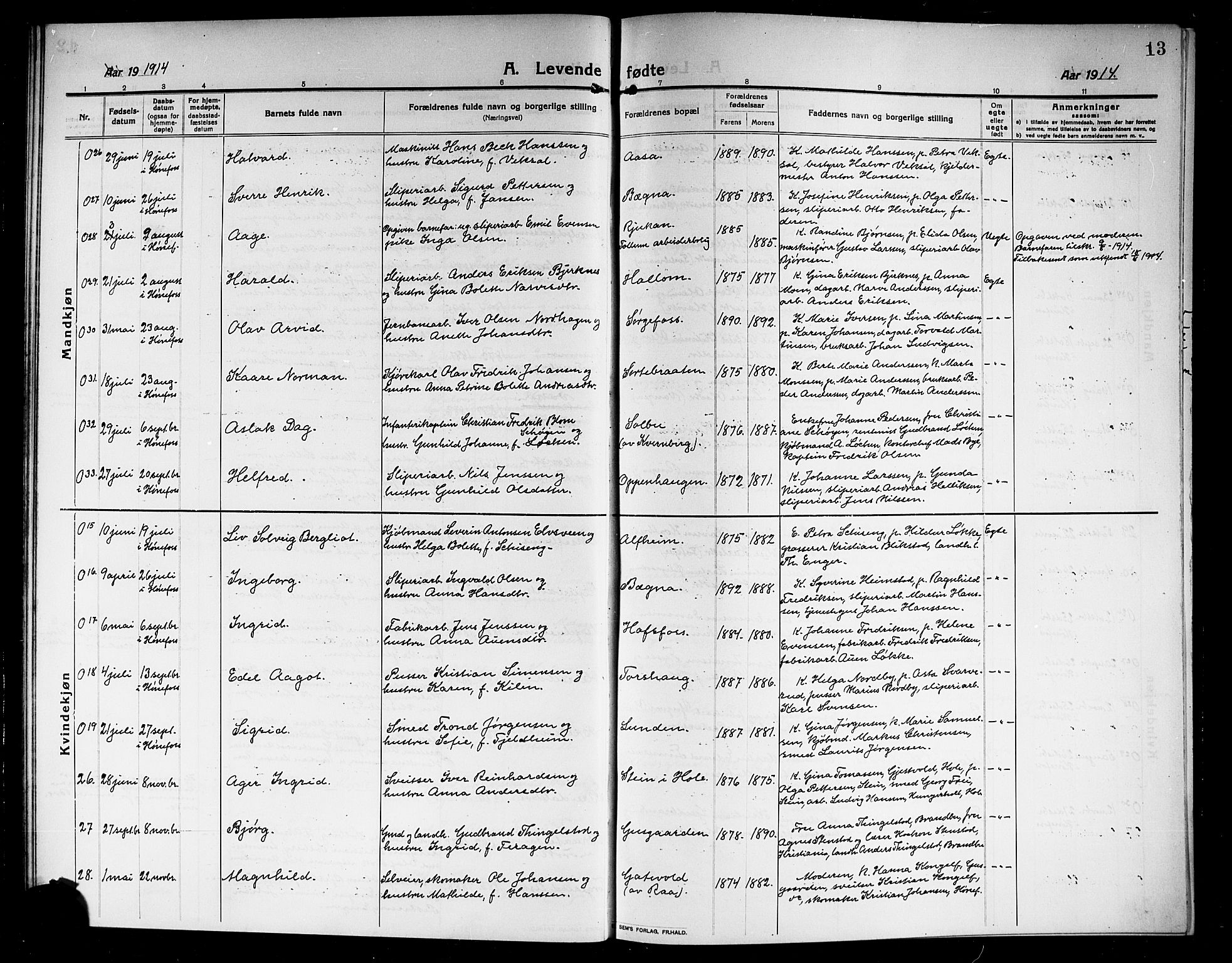 Norderhov kirkebøker, AV/SAKO-A-237/G/Ga/L0009: Parish register (copy) no. I 9, 1913-1920, p. 13