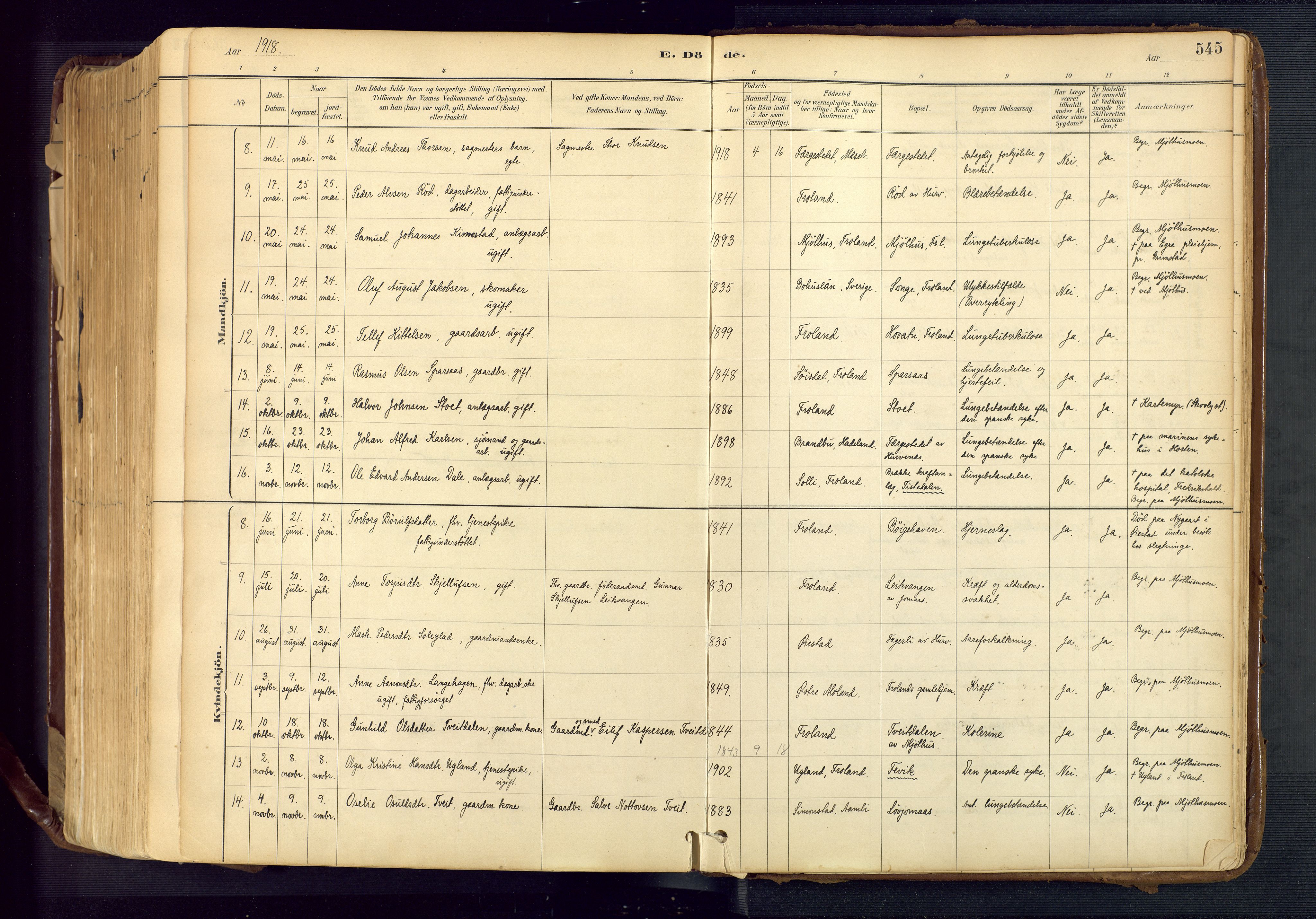 Froland sokneprestkontor, AV/SAK-1111-0013/F/Fa/L0005: Parish register (official) no. A 5, 1882-1921, p. 545