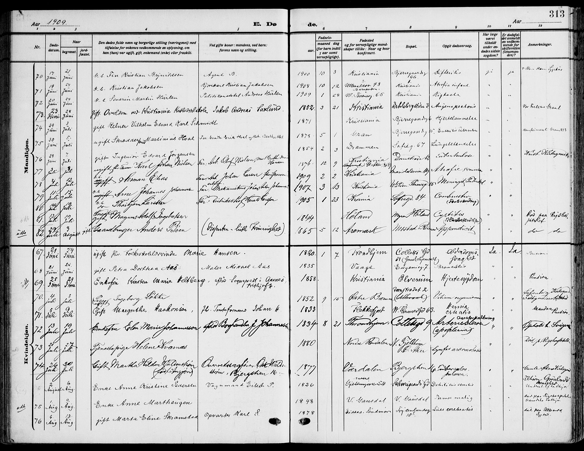 Gamle Aker prestekontor Kirkebøker, SAO/A-10617a/F/L0014: Parish register (official) no. 14, 1909-1924, p. 313