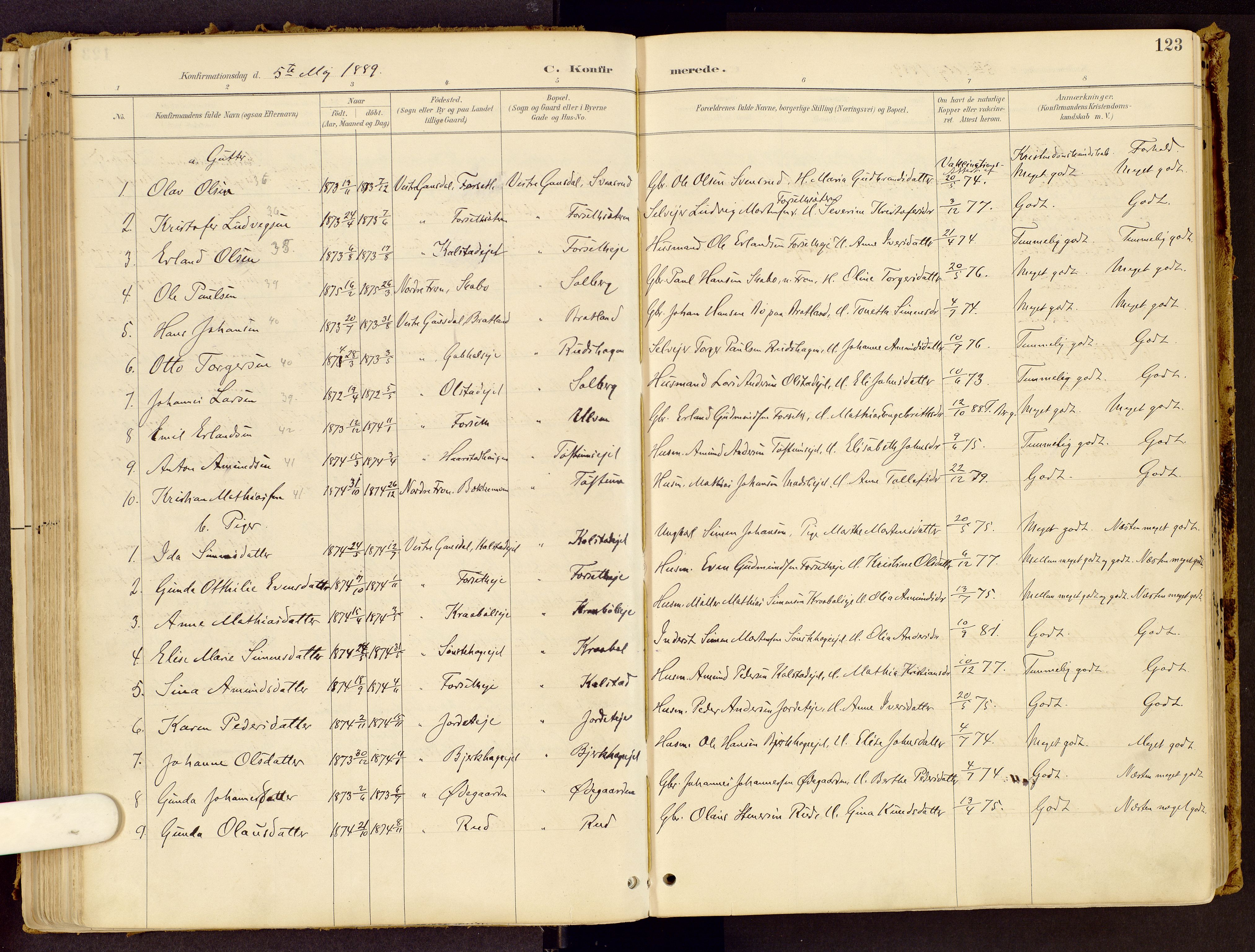 Vestre Gausdal prestekontor, SAH/PREST-094/H/Ha/Haa/L0001: Parish register (official) no. 1, 1887-1914, p. 123