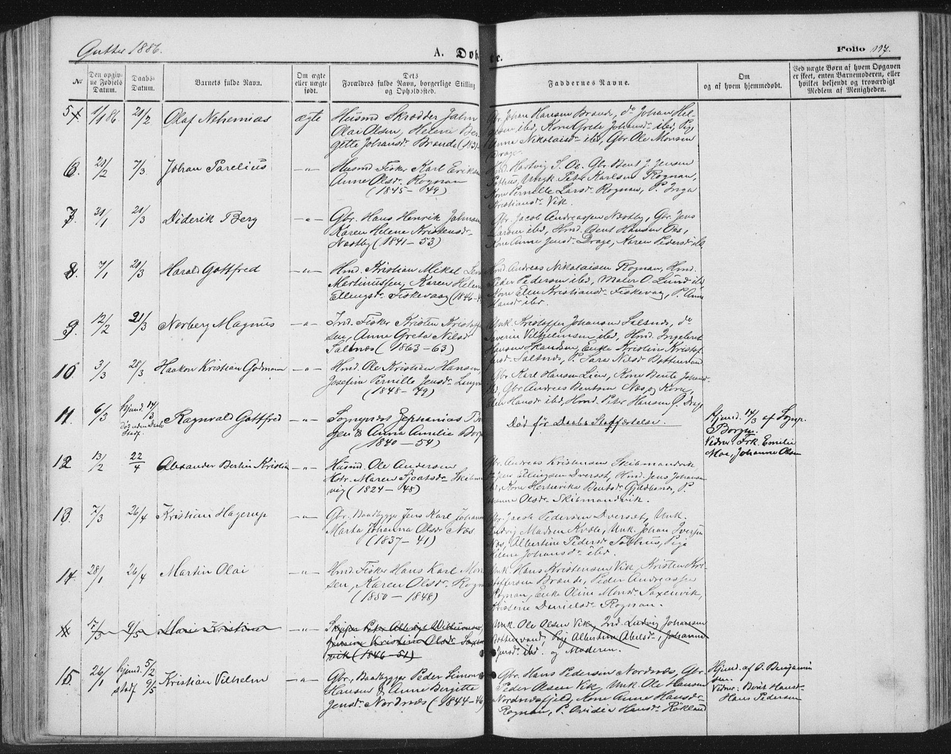 Ministerialprotokoller, klokkerbøker og fødselsregistre - Nordland, AV/SAT-A-1459/847/L0668: Parish register (official) no. 847A08, 1872-1886, p. 117