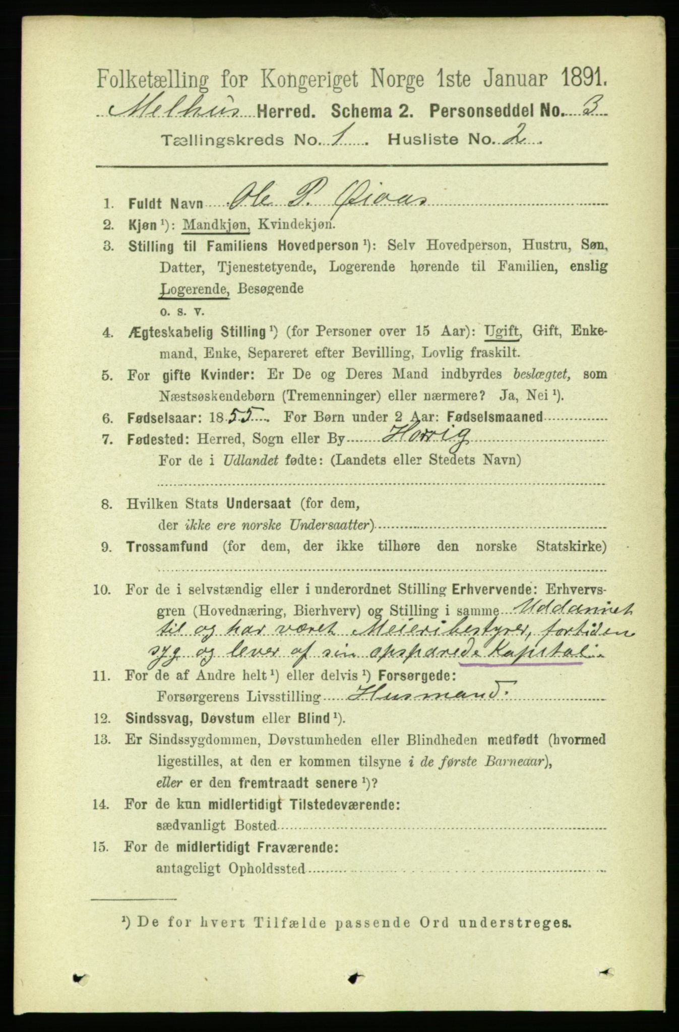 RA, 1891 census for 1653 Melhus, 1891, p. 125