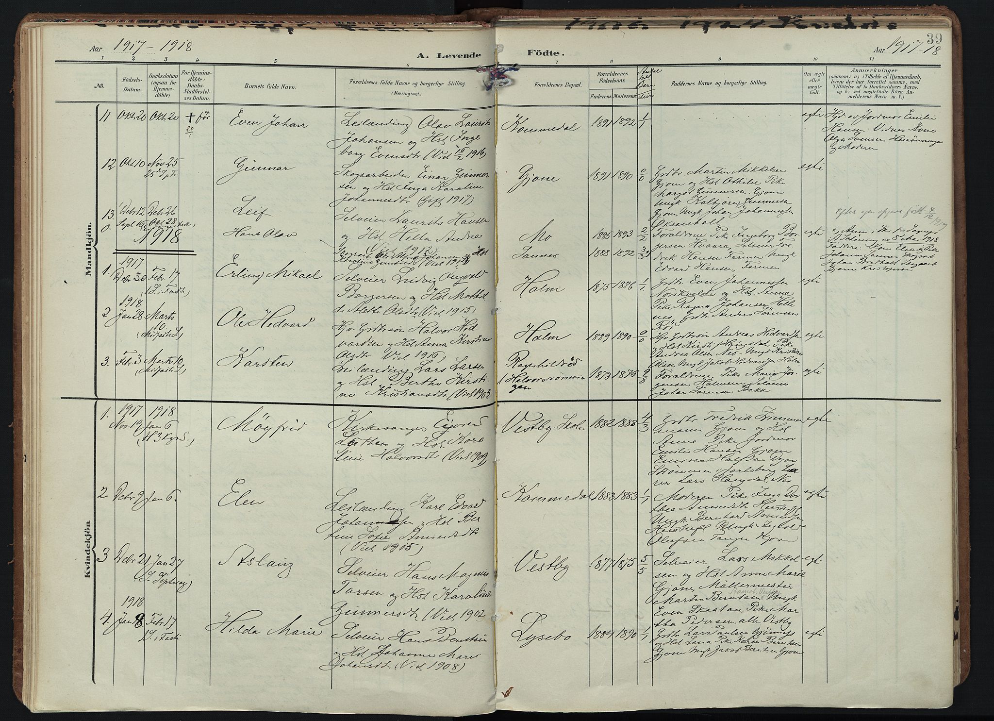Hedrum kirkebøker, SAKO/A-344/F/Fb/L0002: Parish register (official) no. II 2, 1906-1924, p. 39