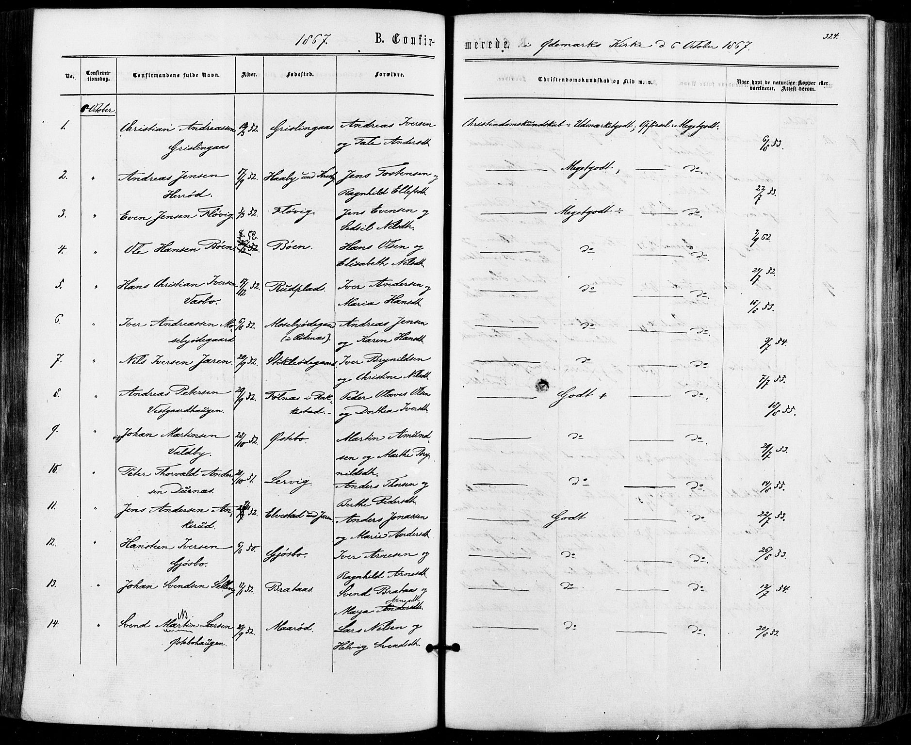 Aremark prestekontor Kirkebøker, SAO/A-10899/F/Fc/L0004: Parish register (official) no. III 4, 1866-1877, p. 323-324