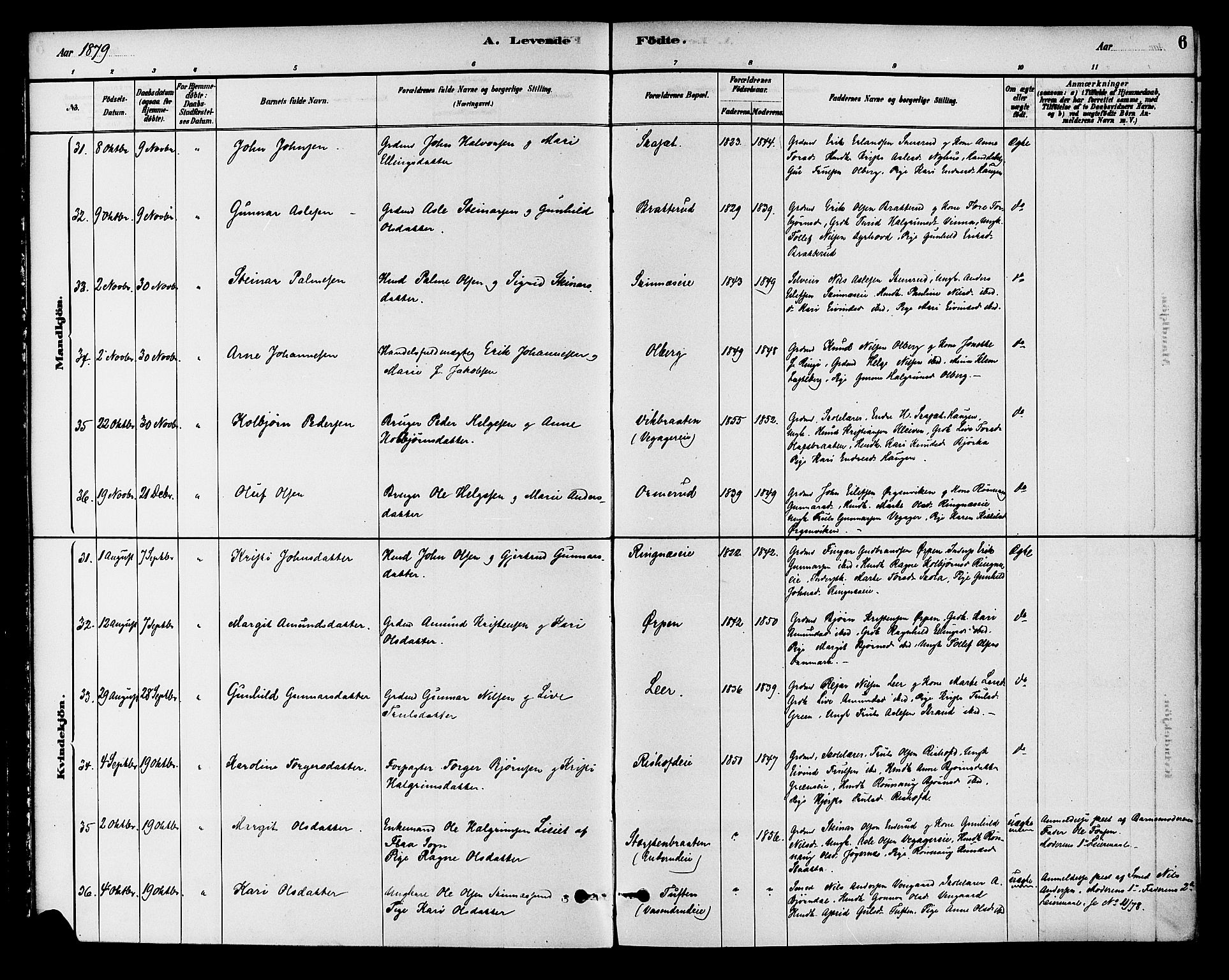 Krødsherad kirkebøker, SAKO/A-19/G/Ga/L0001: Parish register (copy) no. 1, 1879-1893, p. 6