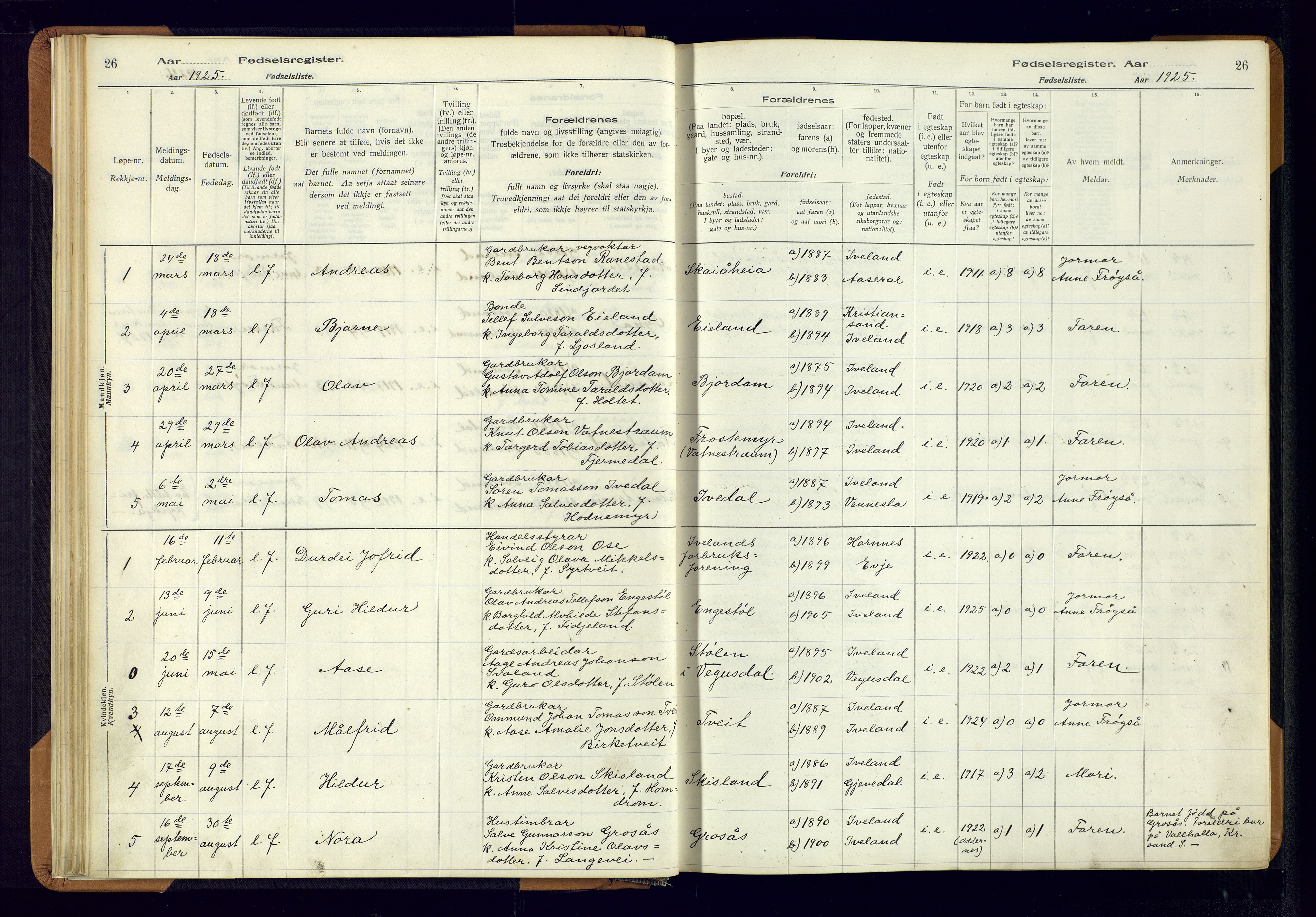 Evje sokneprestkontor, AV/SAK-1111-0008/J/Jc/L0003: Birth register no. II.4.3, 1916-1982, p. 26